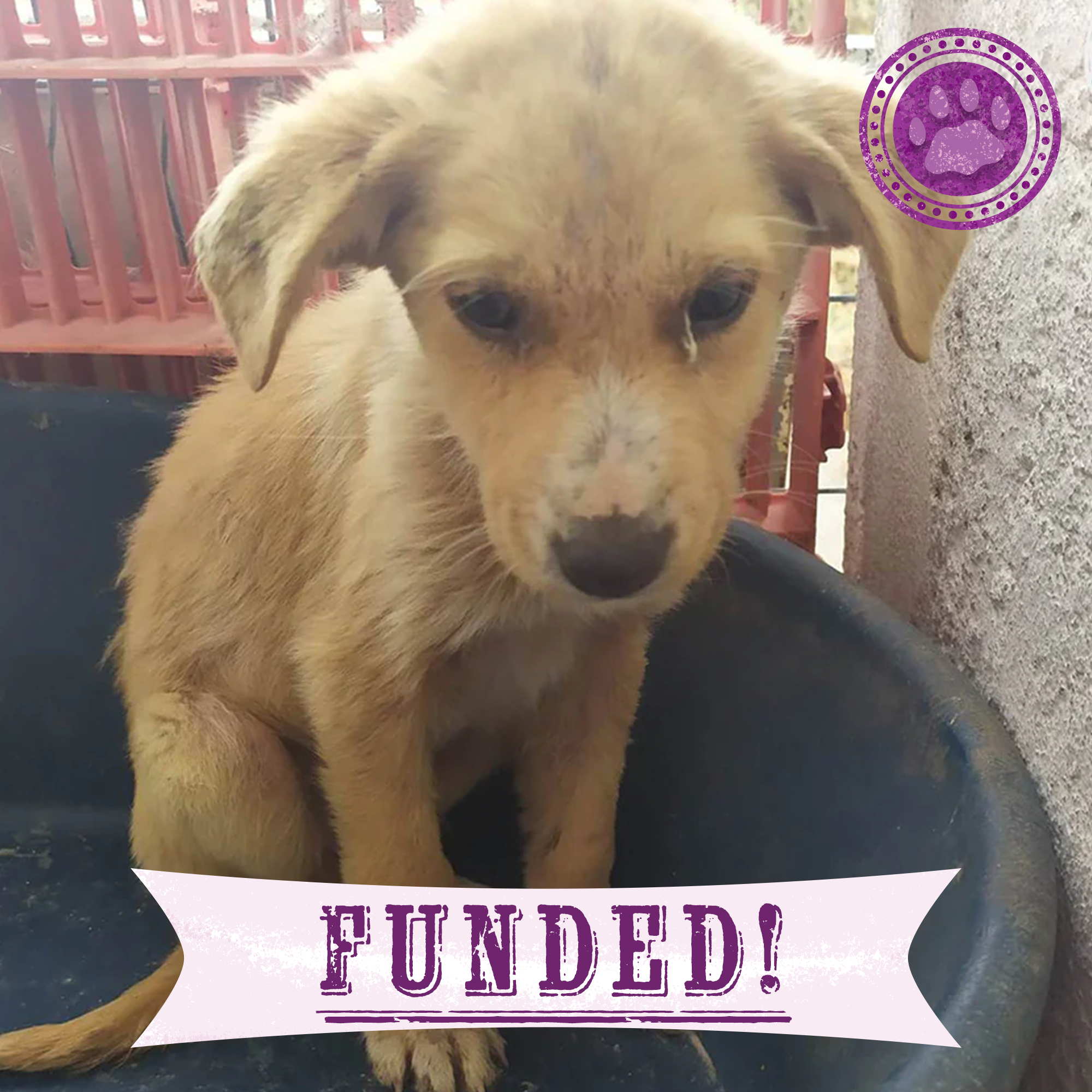 Funded: Help Starving Lucas Regain His Strength、mySite、camillekostekn