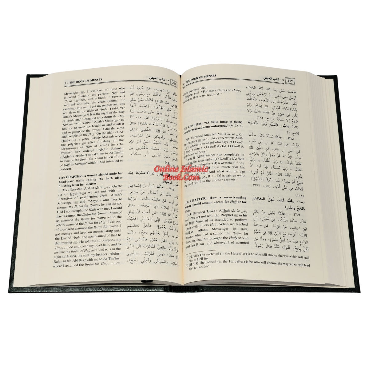 Sahih Al-Bukhari (9 Vol. Set) By Dr. Muhammad Muhsin Khan、mySite、topwebapps