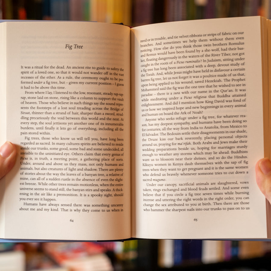 The Island of Missing Trees、mySite、topwebapps