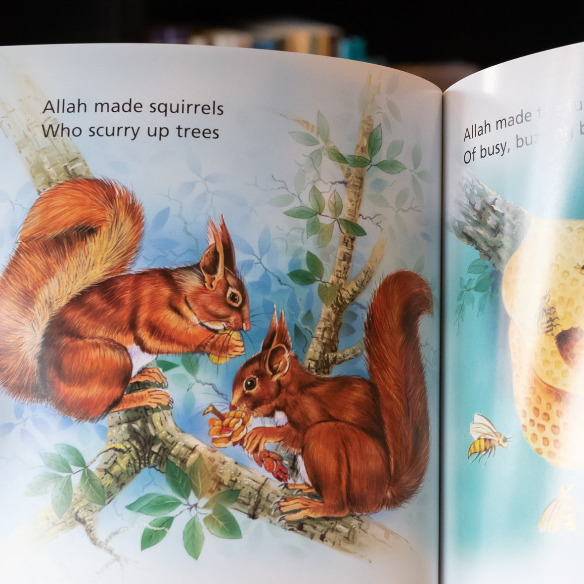 Animals、mySite、topwebapps