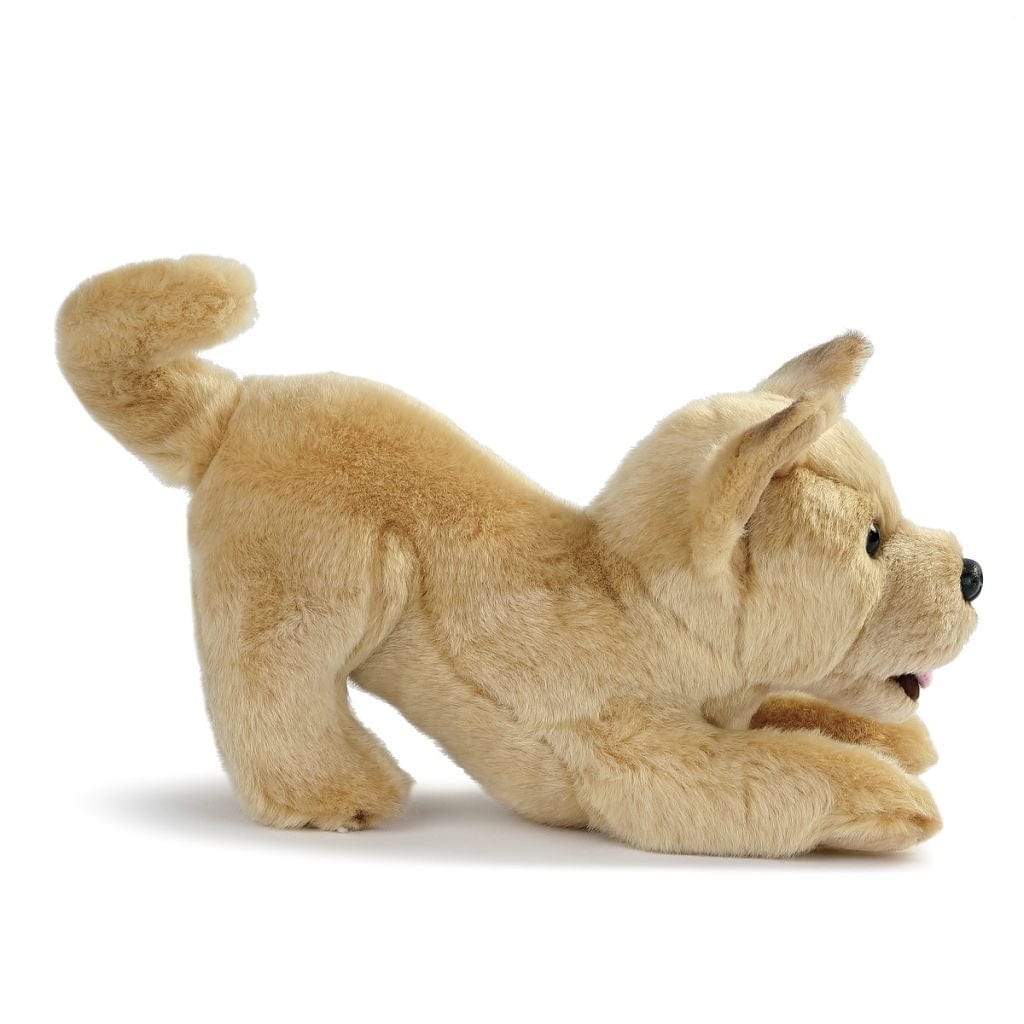 Plush Mixed Breeds: Maltipoo, Terrier Mix, & Labradoodles、mySite、g9winljtr