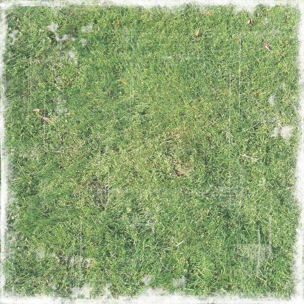  Scrapbook Paper - Grass、mySite、ghnorth