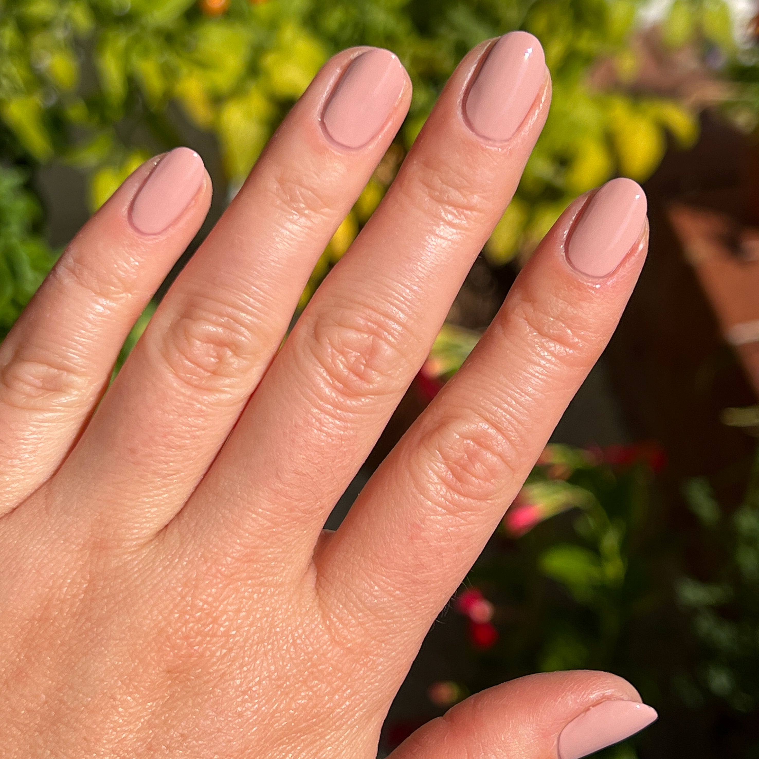 Poodle、mySite、solidvoid