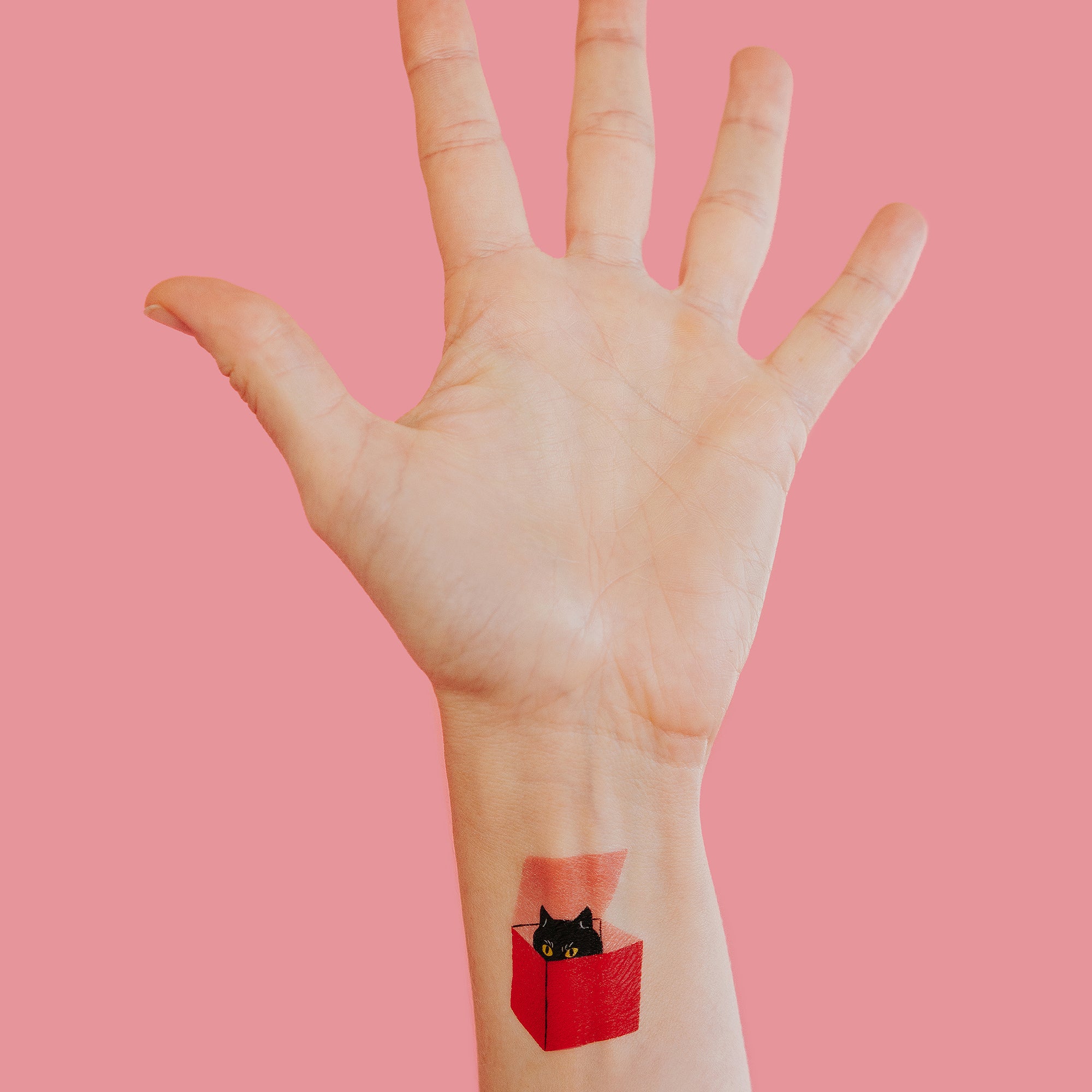  Cat in a Box Tattly Temporary Tattoos、mySite、ghnorth