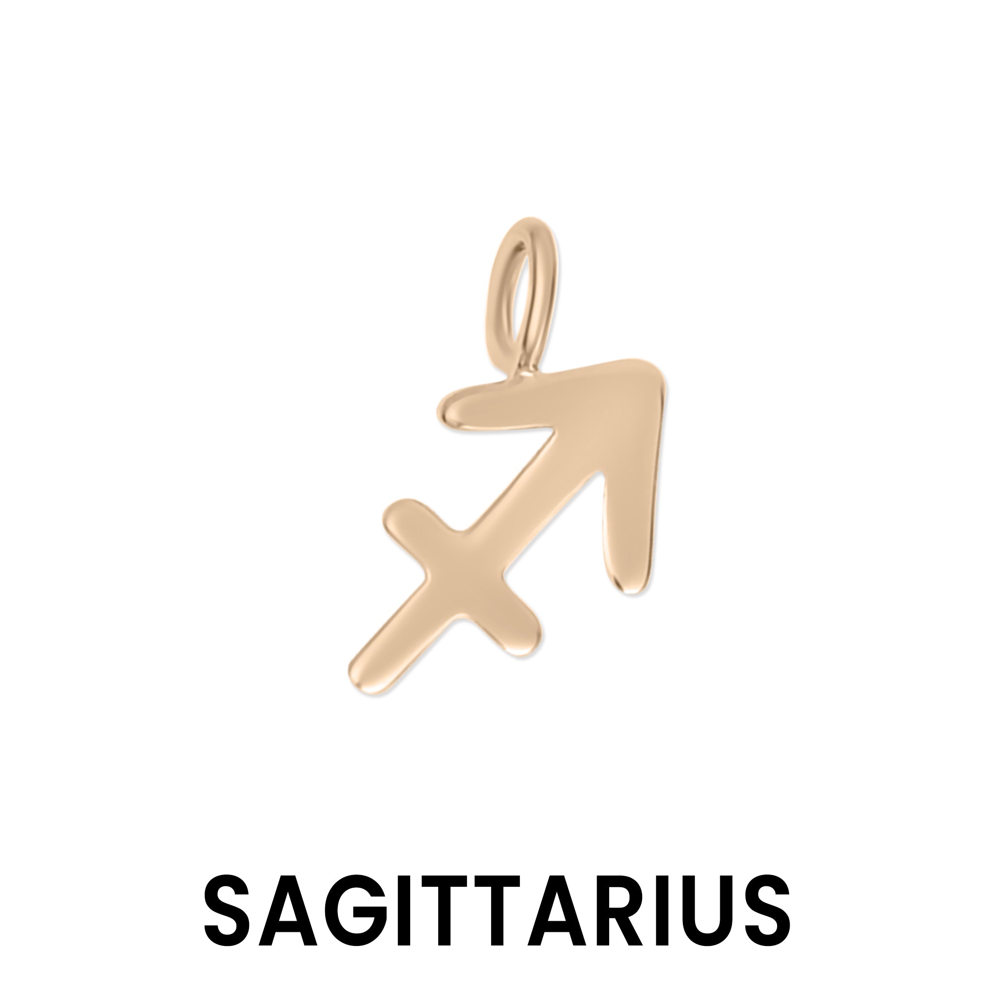 Permanent Jewelry 14K Solid Rose Gold Zodiac Charms / PMJ2009、mySite、dreamappss