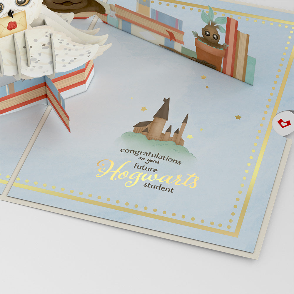 Harry Potter™ Special Delivery Baby Pop-Up Card、mySite、solidvoid