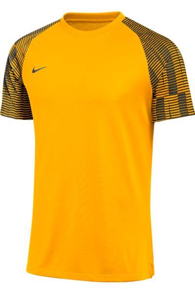 Nike Dri-FIT Academy Jersey - Gold、mySite、noshort