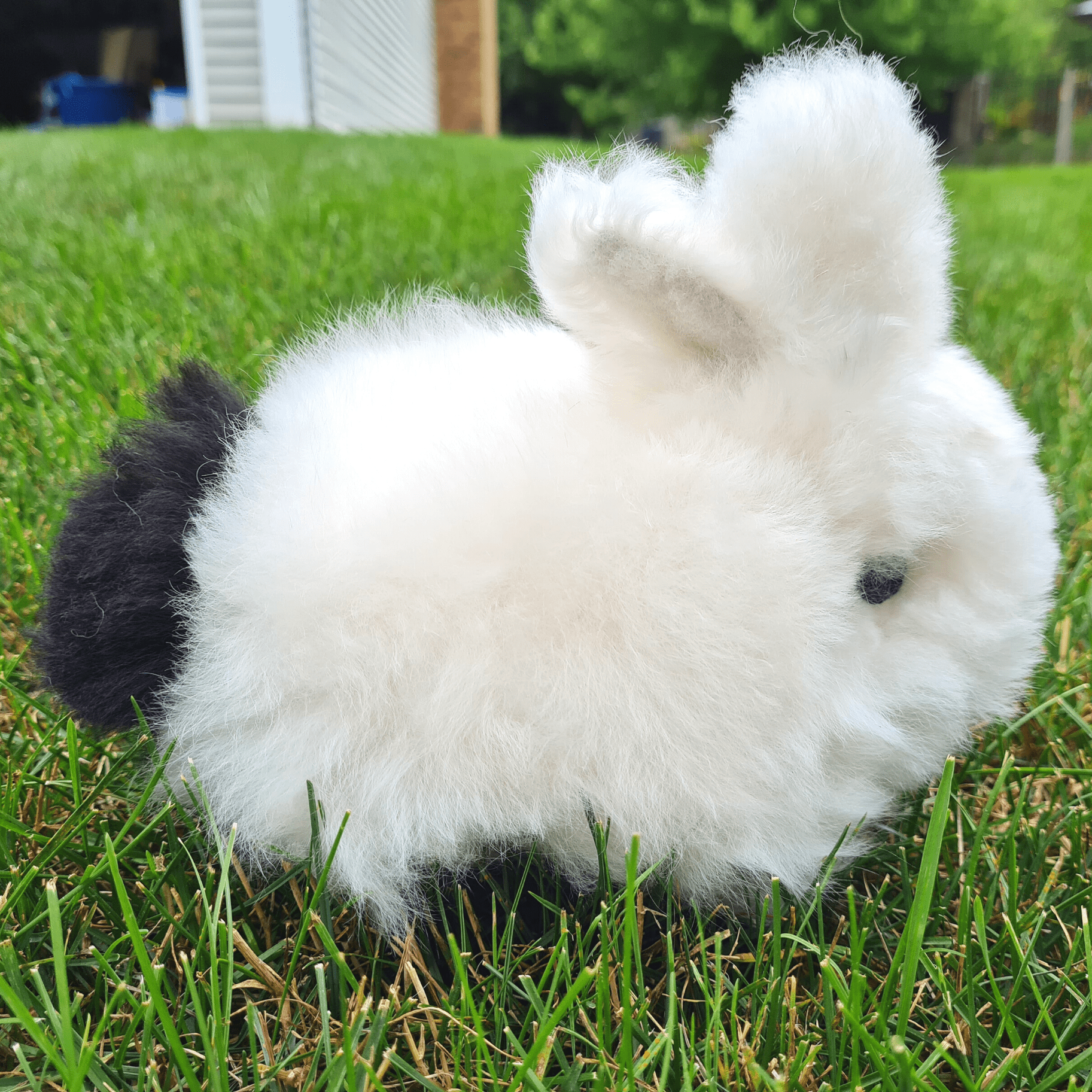 Little Bunny Rabbit Alpaca Plush Handmade in Peru、mySite、g9winljtr
