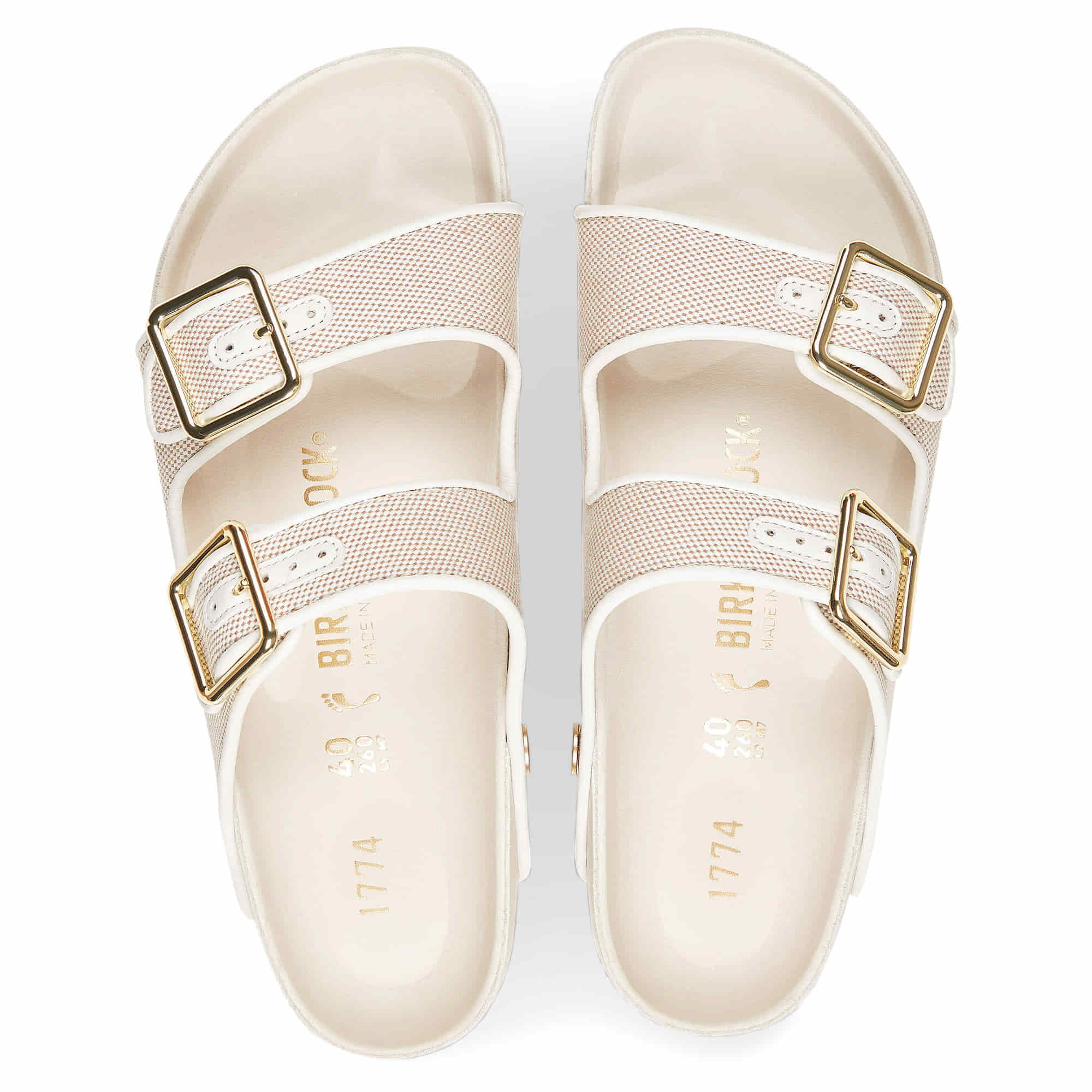 1774 Arizona Canvas、mySite、gtrtttuynbv