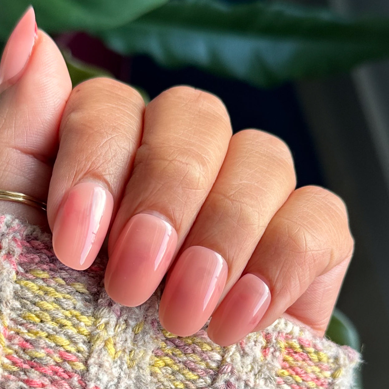 World Lit Jelly - Press-On | Short | Round、mySite、solidvoid