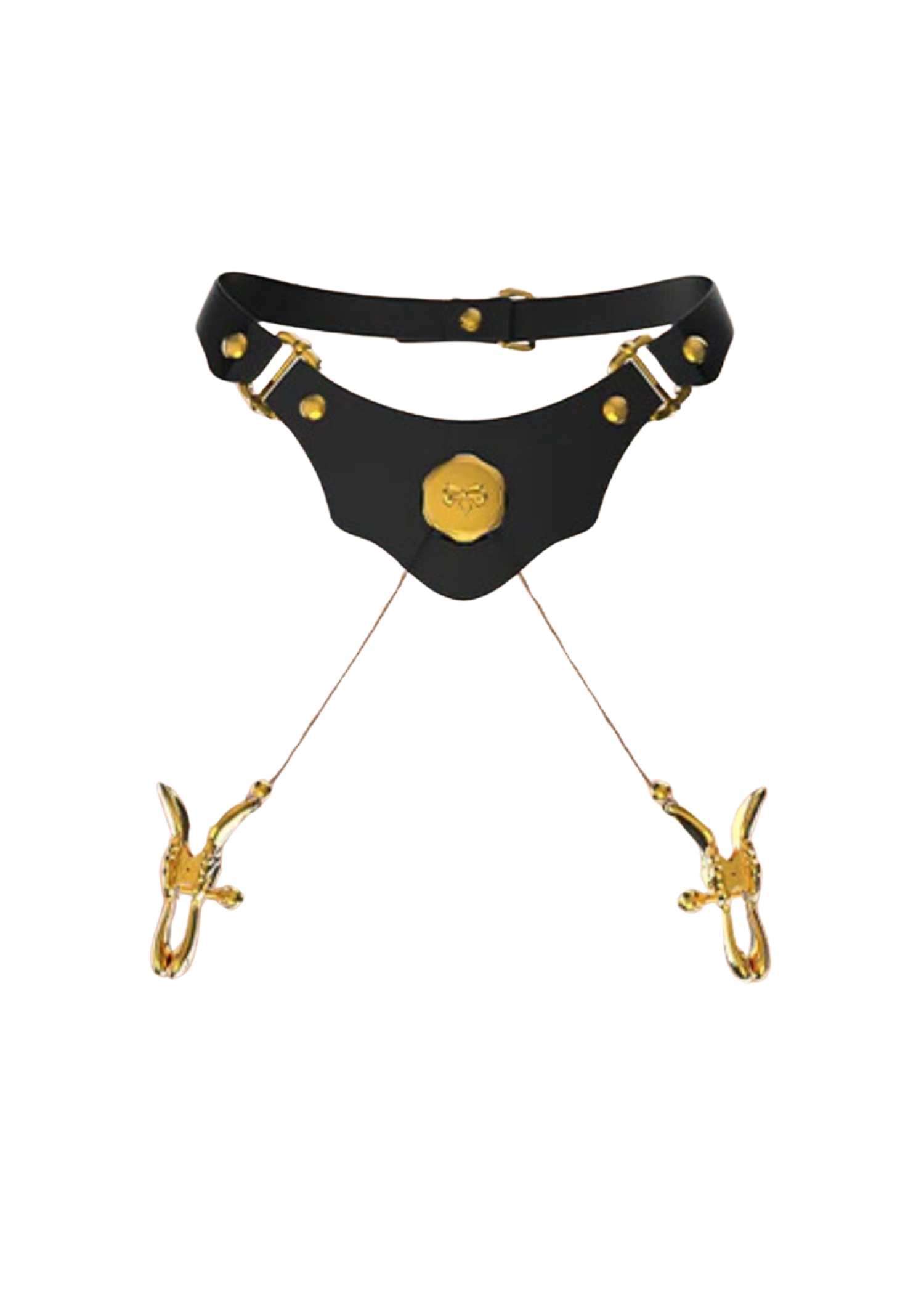  Mystic Bond Leather Collar with Nipple Clamps、mySite、justintrudeaud
