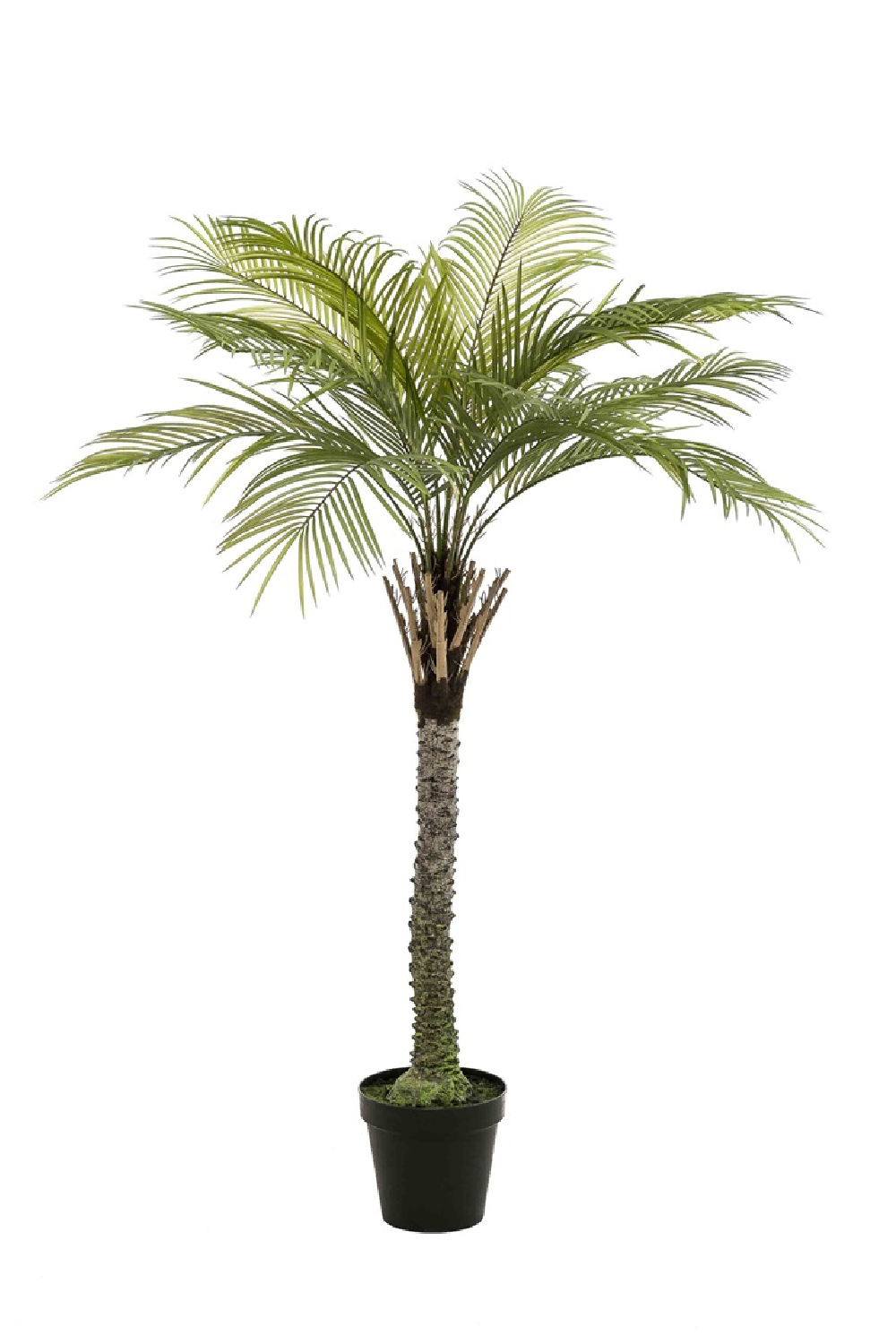 Artificial Date Tree | Emerald Phoenix Palm Deluxe、mySite、neckold