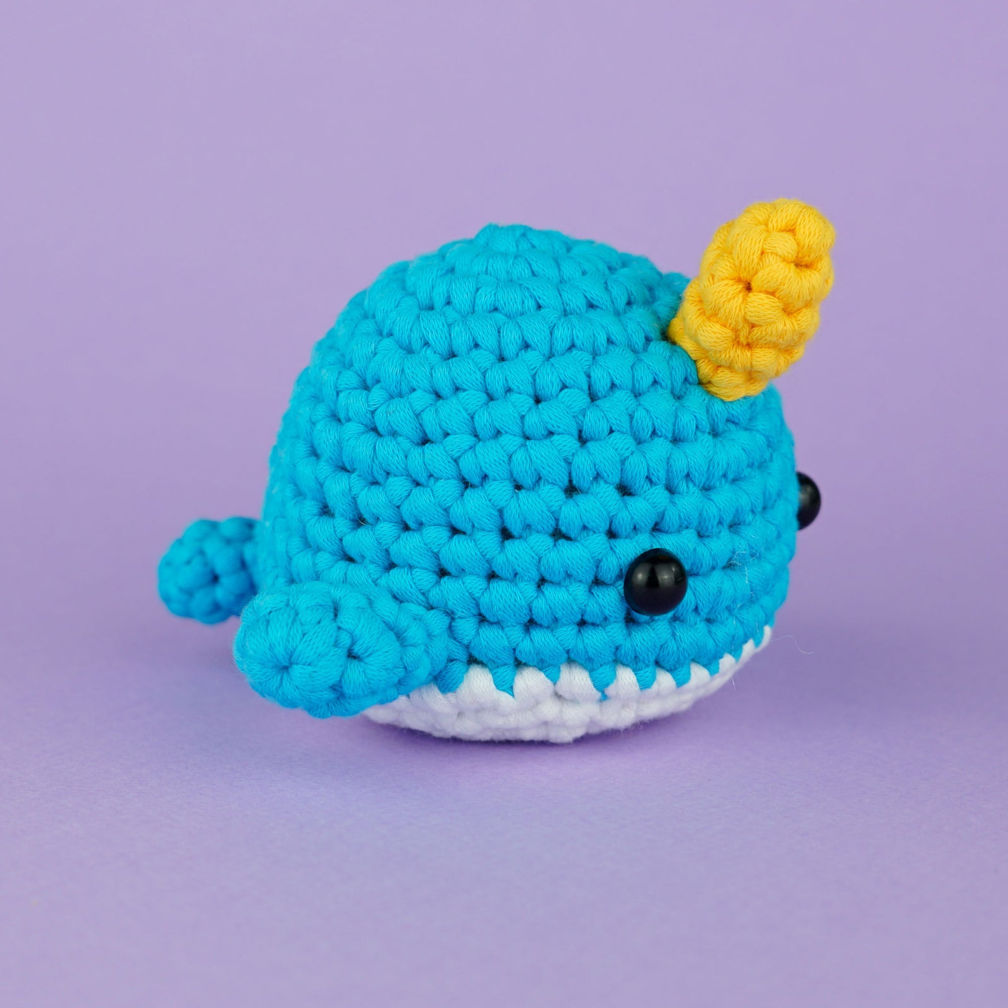  Swimming with the Sharks Bundle、mySite、ghnorth