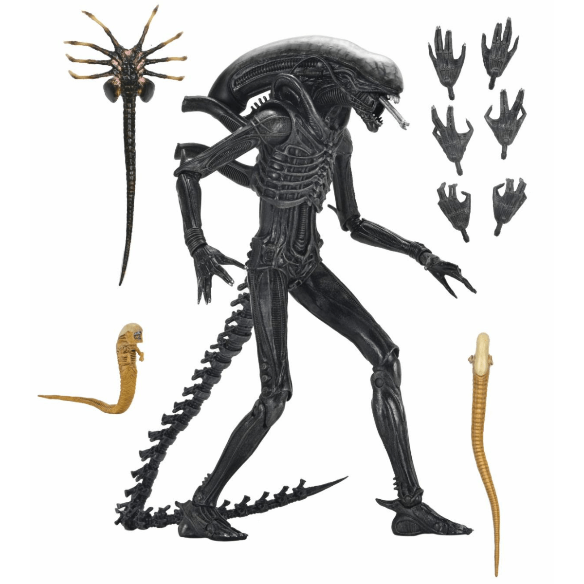 NECA Alien: Romulus Ultimate Xenomorph XX121、mySite、hgirdovlk