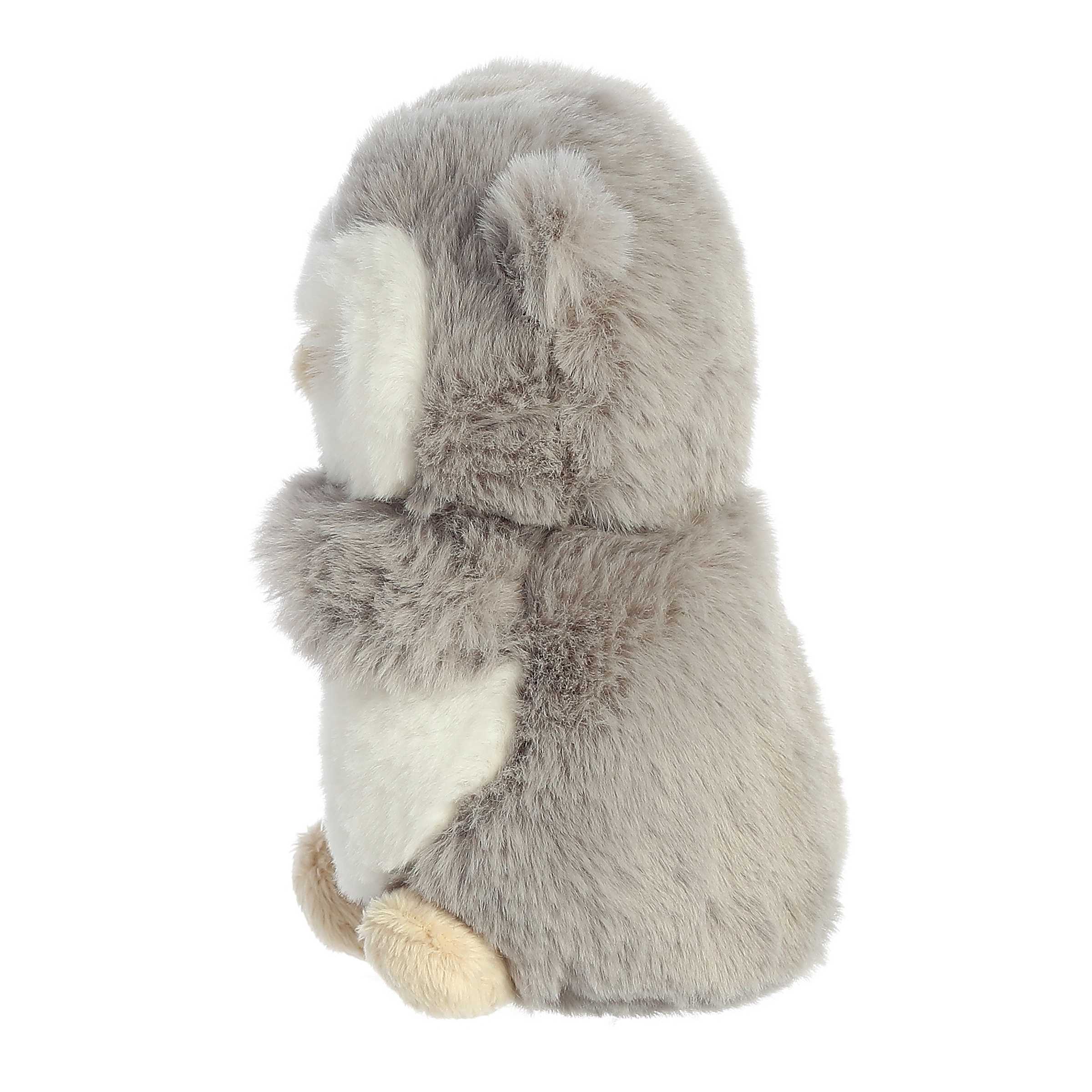 ebba™ - Eco Ebba™ - 6 Owlet Rattle™、mySite、g9winljtr