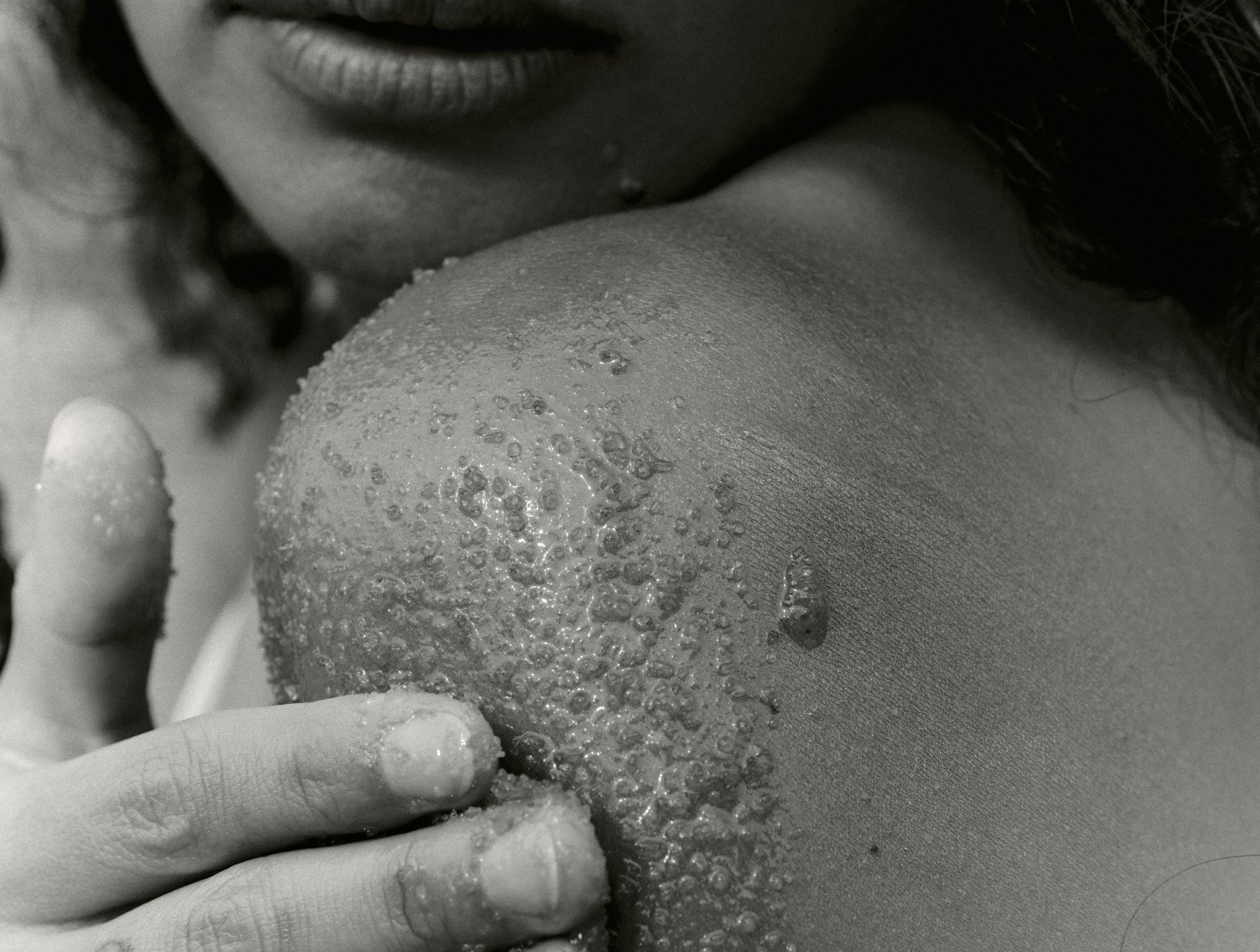  Obakki Designs Sugar Scrub、mySite、sugarbowlscore