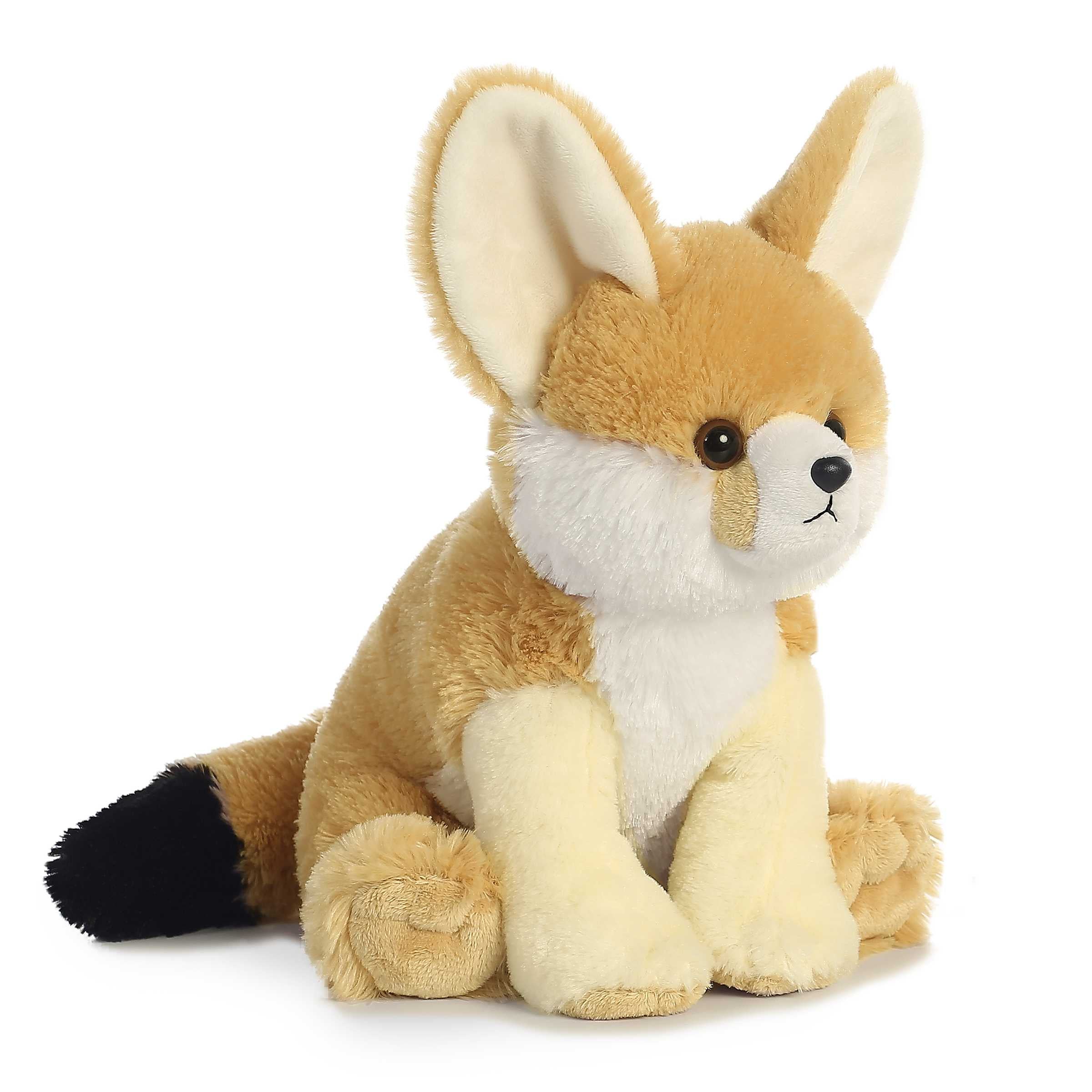 Aurora® - Destination Nation™ - 12 Fennec Fox、mySite、g9winljtr