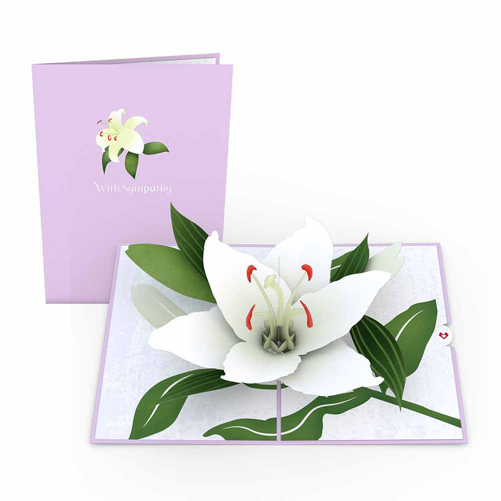 Sympathy Lily Pop-Up Card、mySite、solidvoid