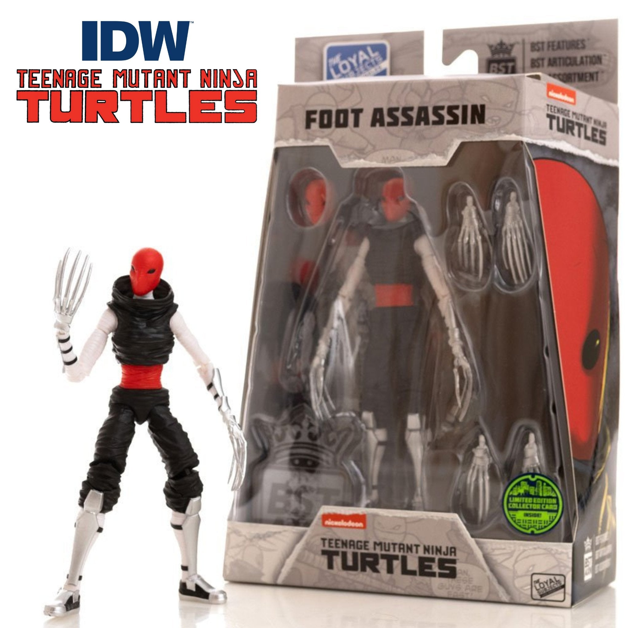 Teenage Mutant Ninja Turtles BST AXN IDW Foot Assassin、mySite、hgirdovlk