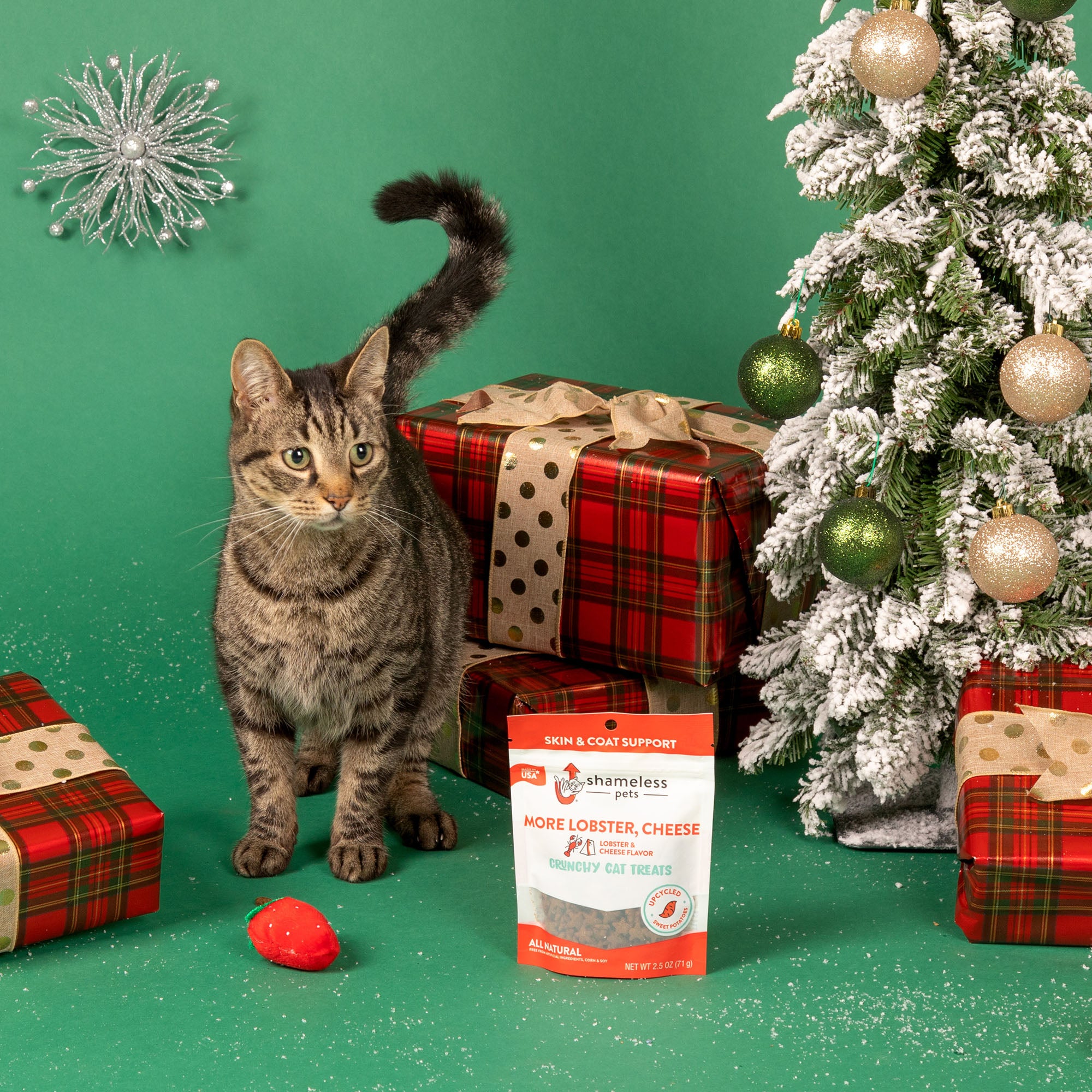 6th Annual Holiday Toy & Treat Drive: Bring Joy To a Shelter Pet、mySite、camillekostekn