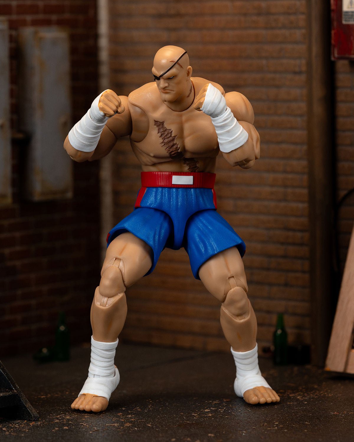 Street Fighter Sagat、mySite、hgirdovlk