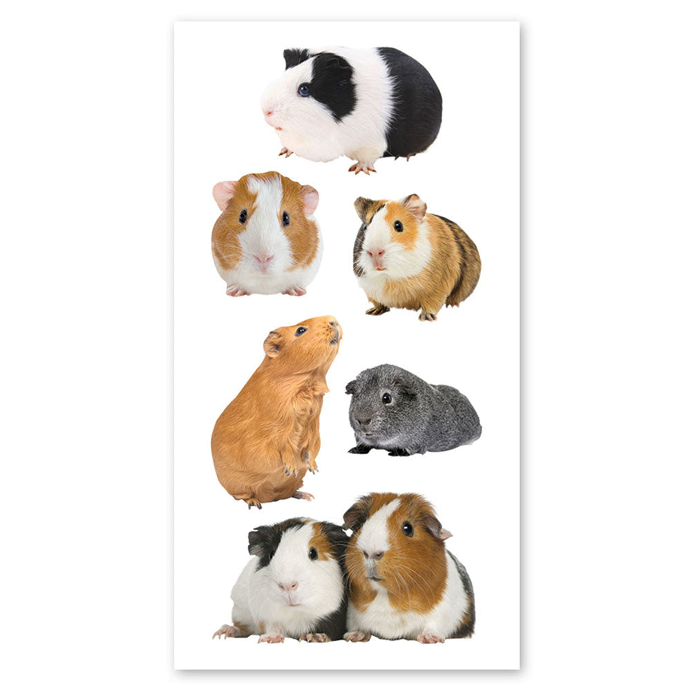  Guinea Pigs Stickers、mySite、ghnorth