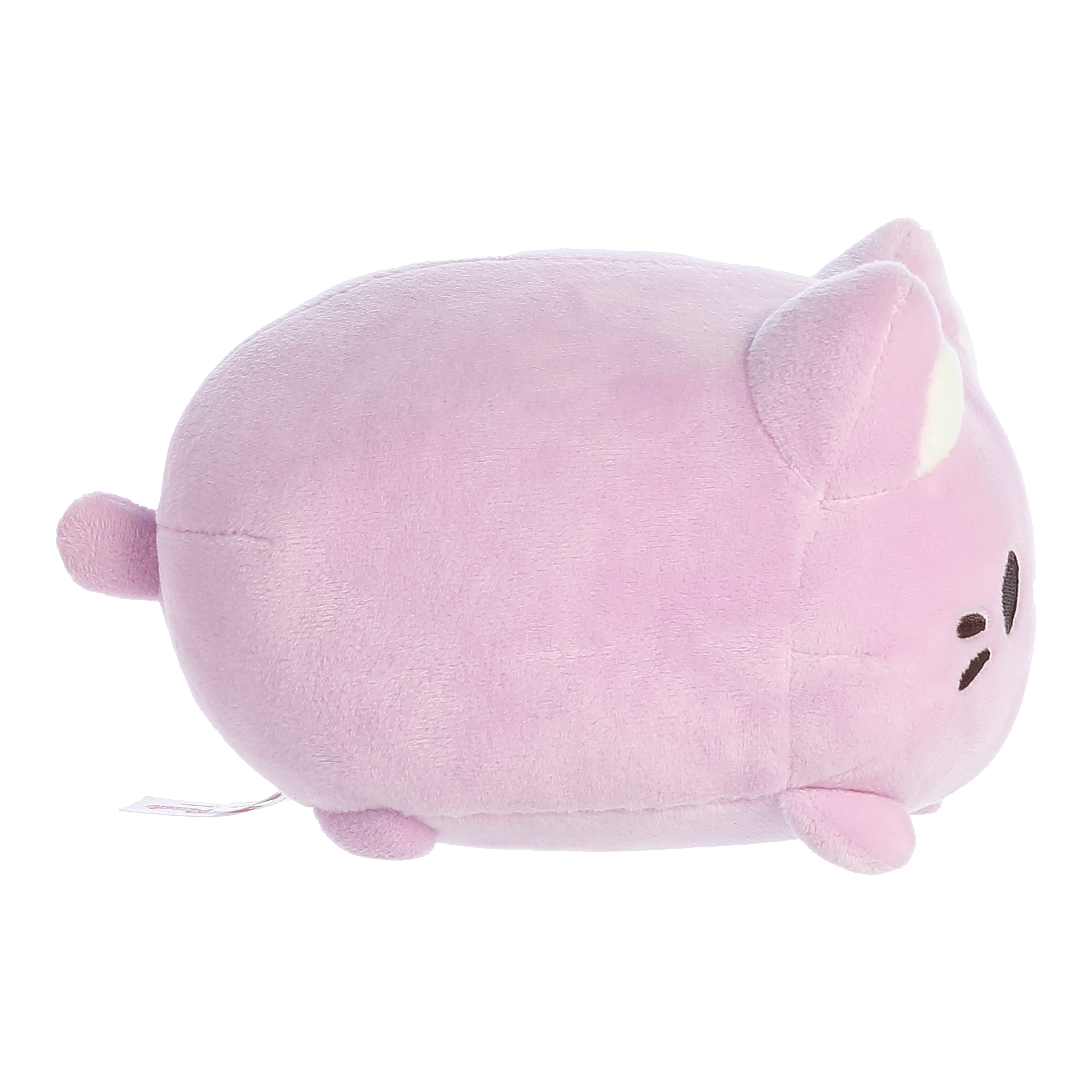 Aurora® - Tasty Peach® - 7 Taro Meowchi、mySite、g9winljtr