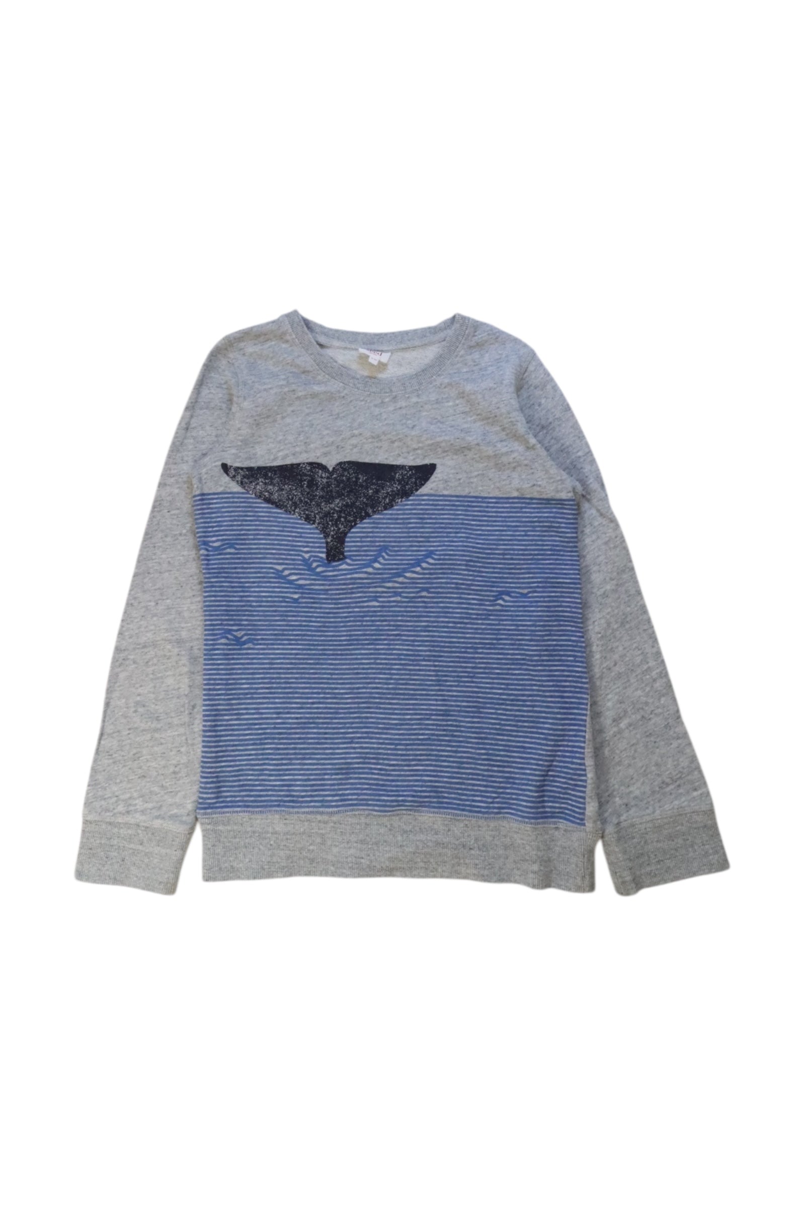 Seed Whale Crewneck Sweatshirt 9-10Y、mySite、g9winljtr