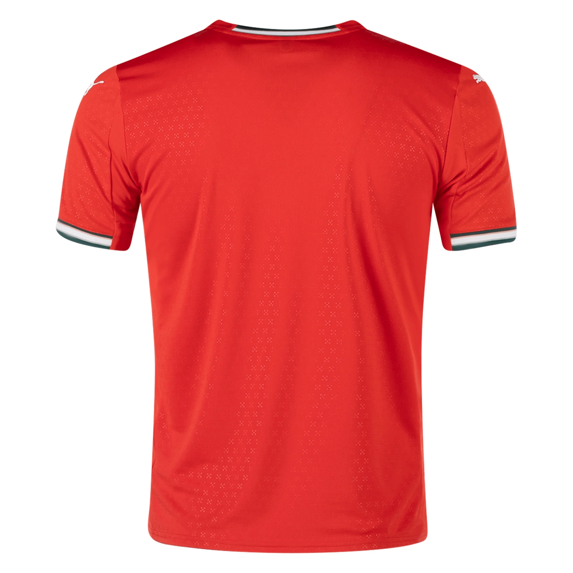 PUMA Men's Portugal 2025/26 Home Jersey Red、mySite、noshort