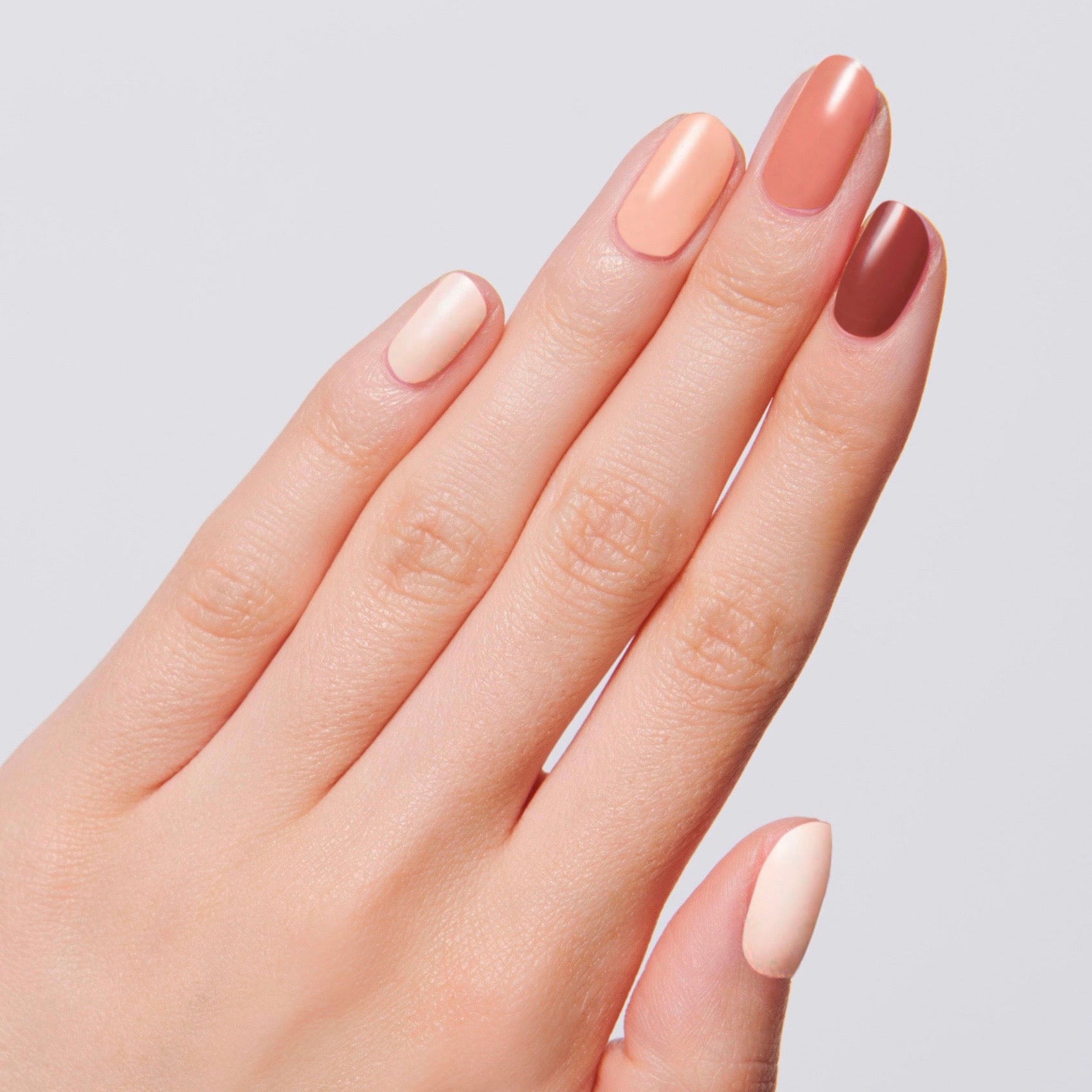 Pumpkin Spice Latte Set、mySite、solidvoid