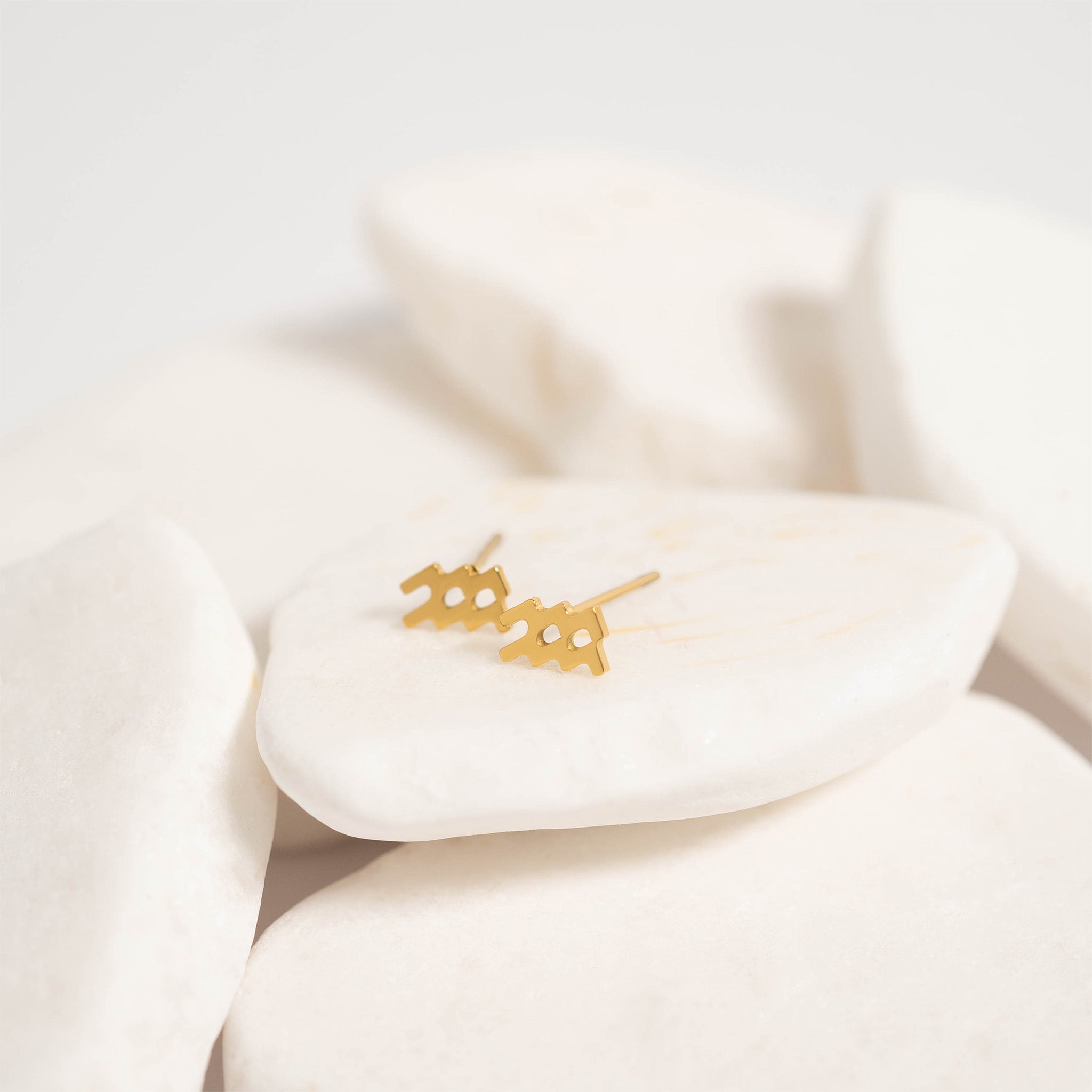 18K Gold PVD Stainless Steel Zodiac Stud Earrings / ERJ0059、mySite、dreamappss