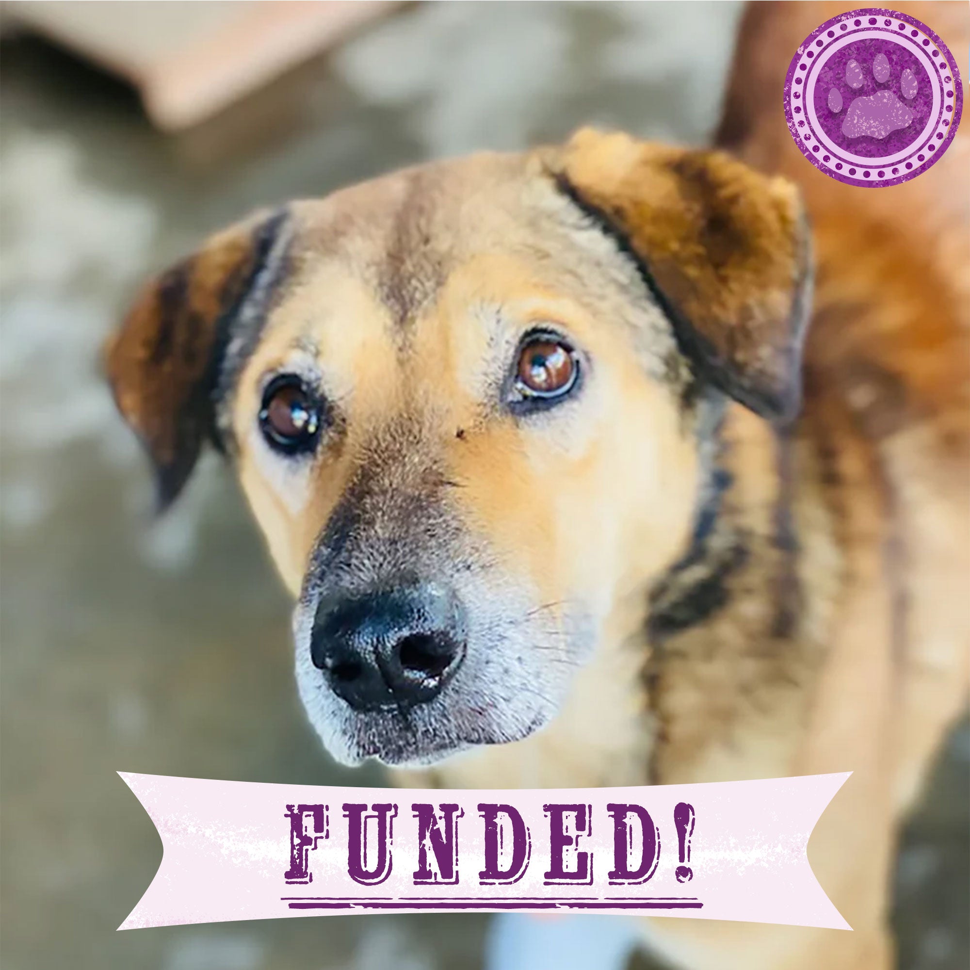 Funded - Give Khaire a Second Chance、mySite、camillekostekn