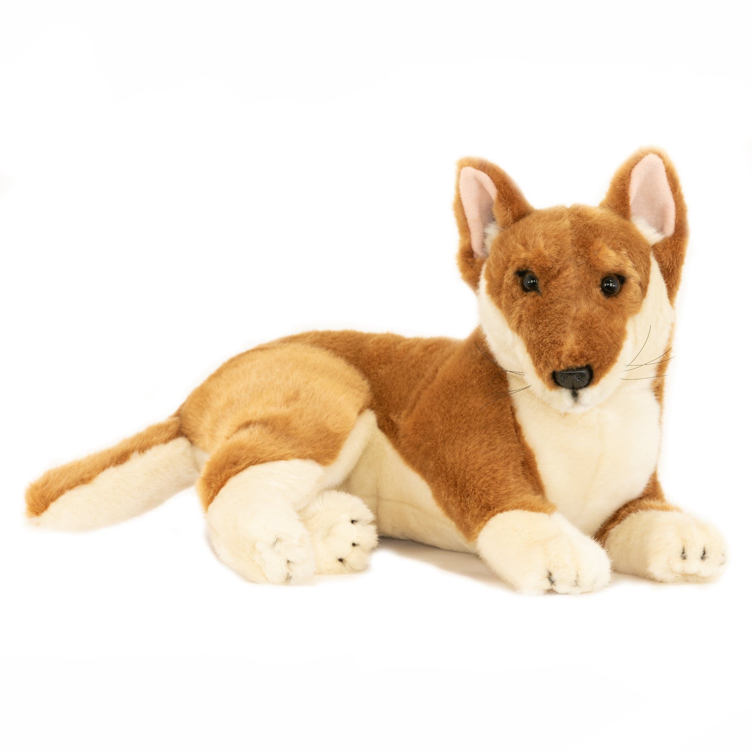 Tan Australian Dingo Size 40cm/15.7″、mySite、g9winljtr
