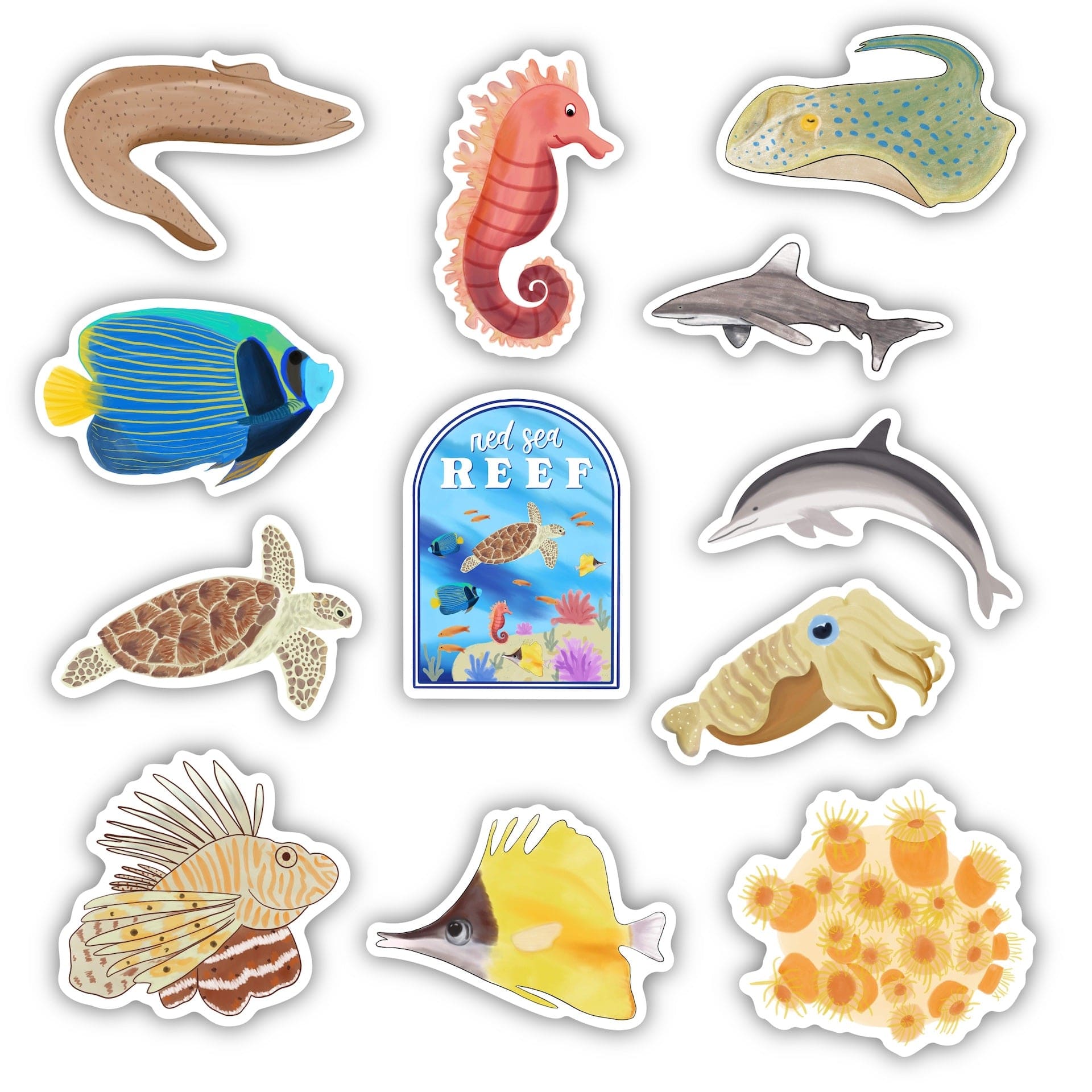  The Red Sea Ocean Animals 12-Pack、mySite、elrpsem3k