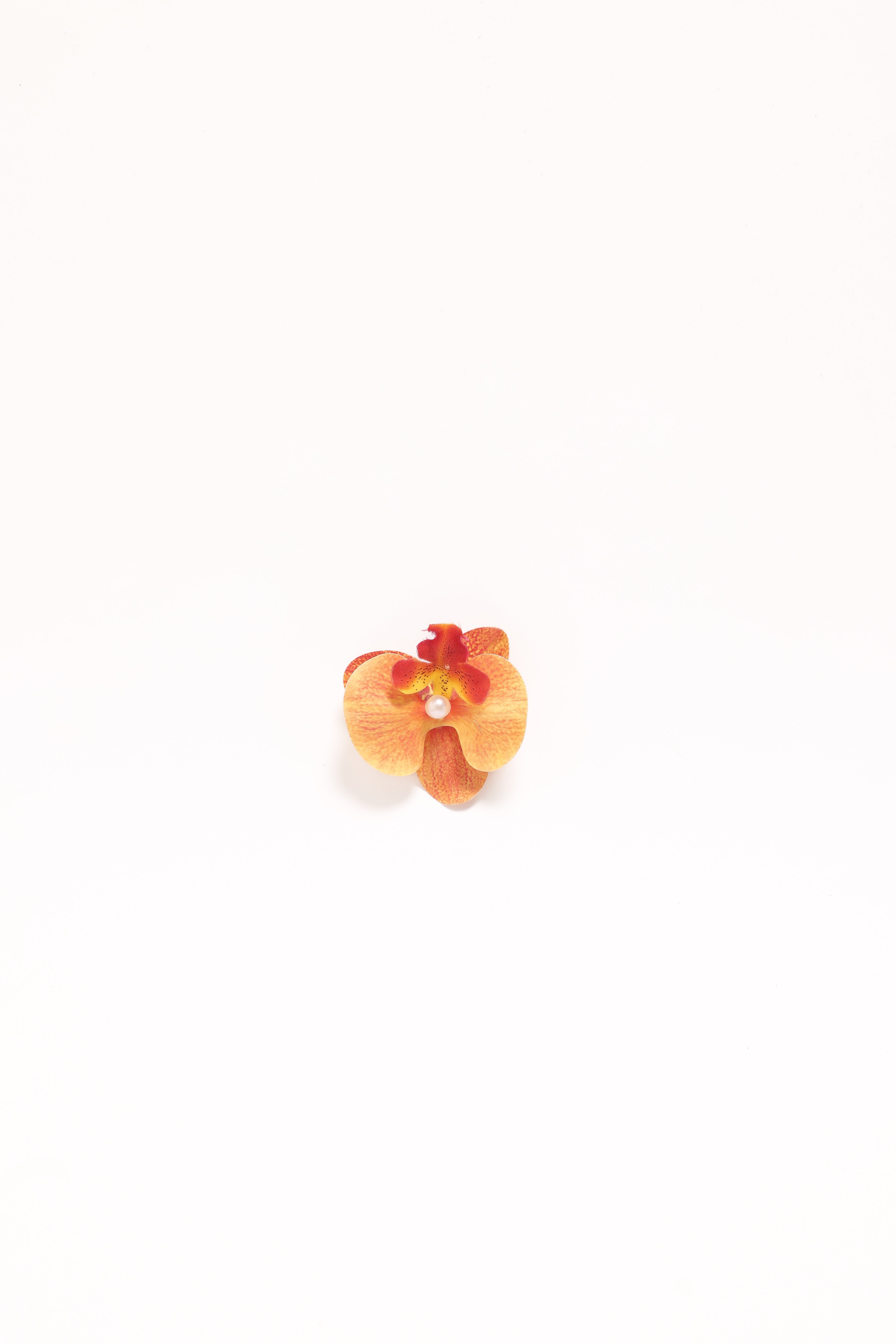  Leila Orchid Hair Clip - Orange、mySite、sugarbowlscore