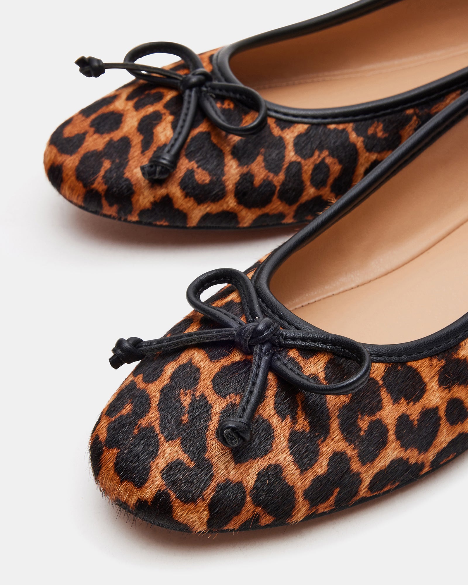 VIXEN LEOPARD、mySite、gtrtttuynbv