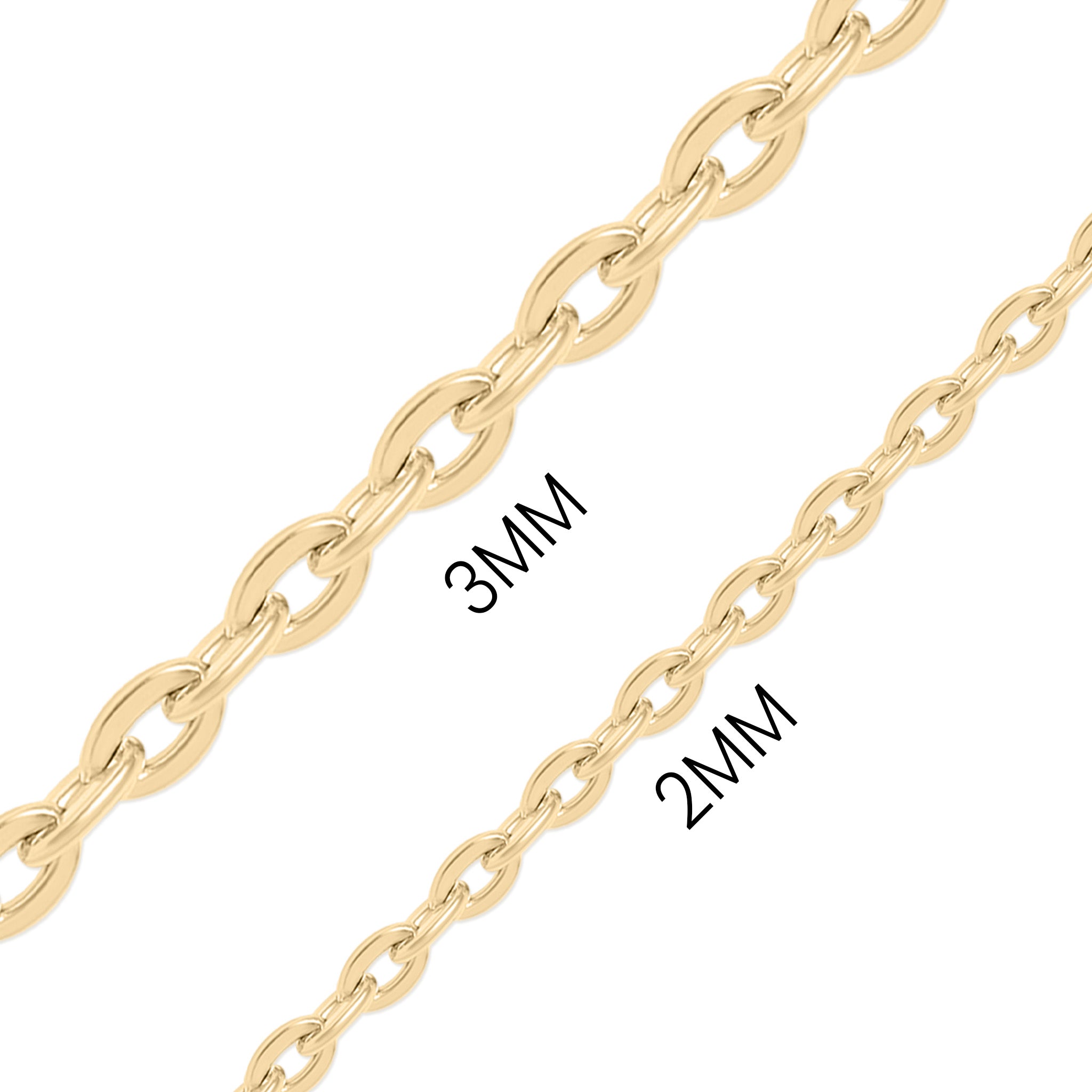 18K Gold PVD Stainless Steel Flat Oval Loop Chain / CHN0051、mySite、dreamappss