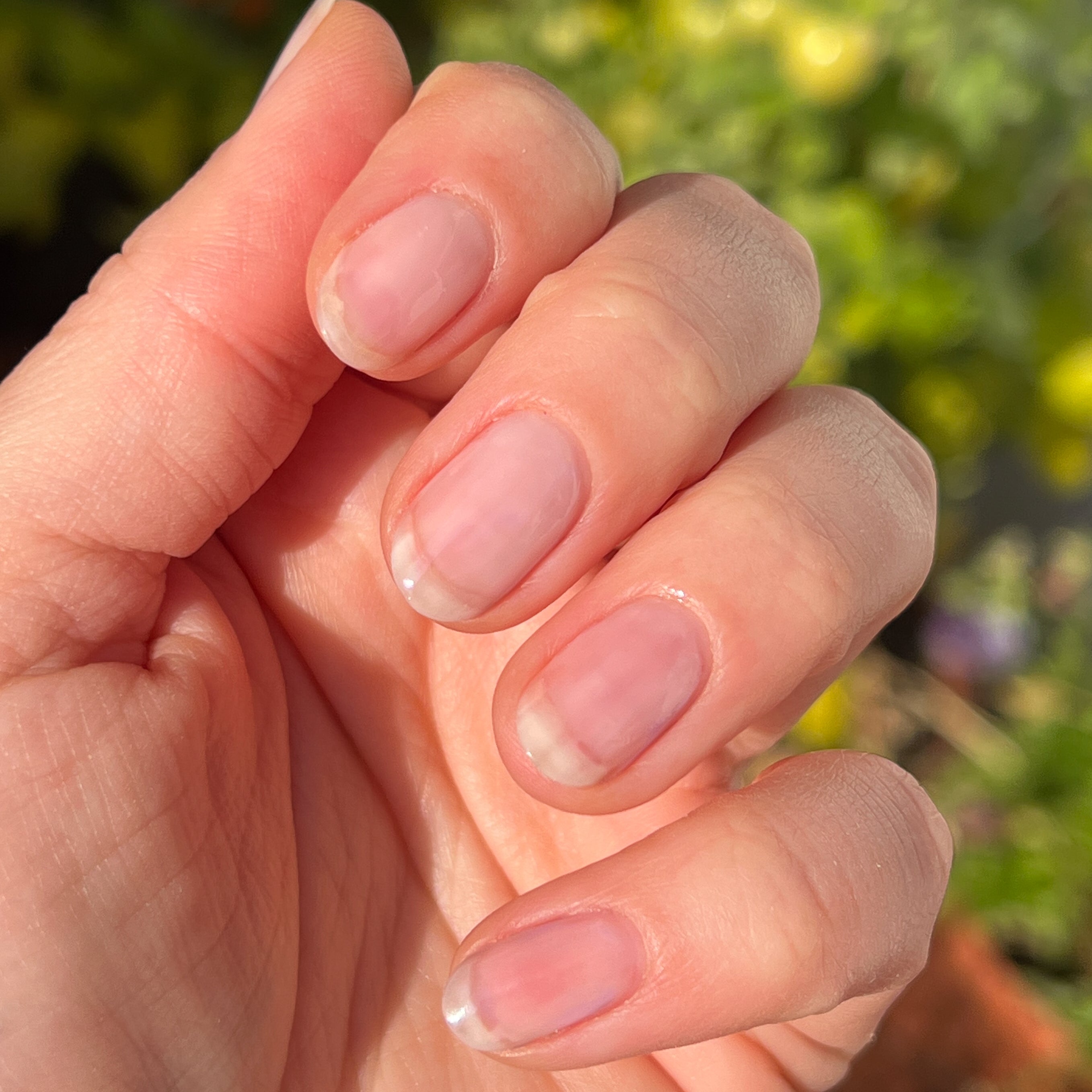 Crystal、mySite、solidvoid