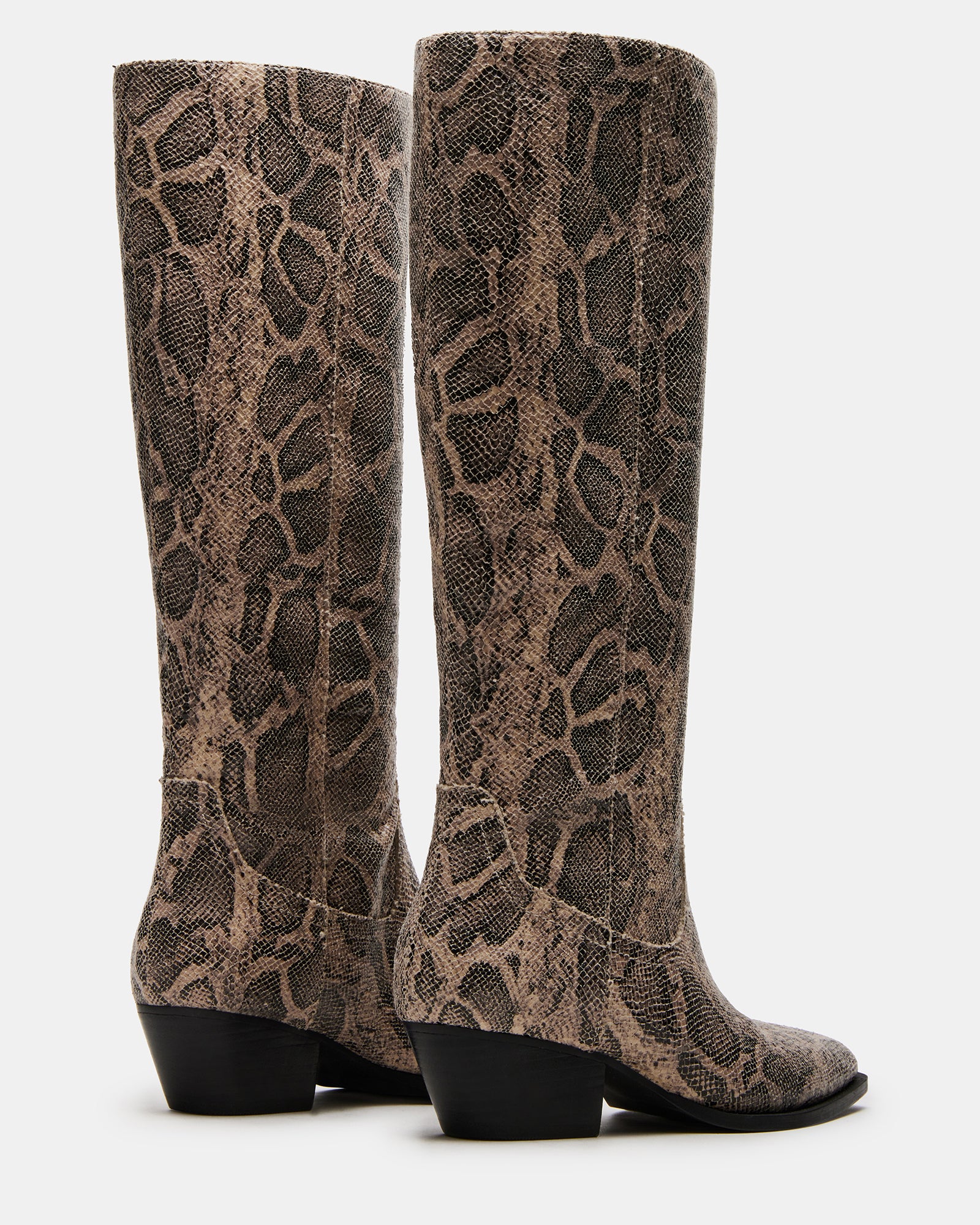 RATTLE SNAKE、mySite、gtrtttuynbv