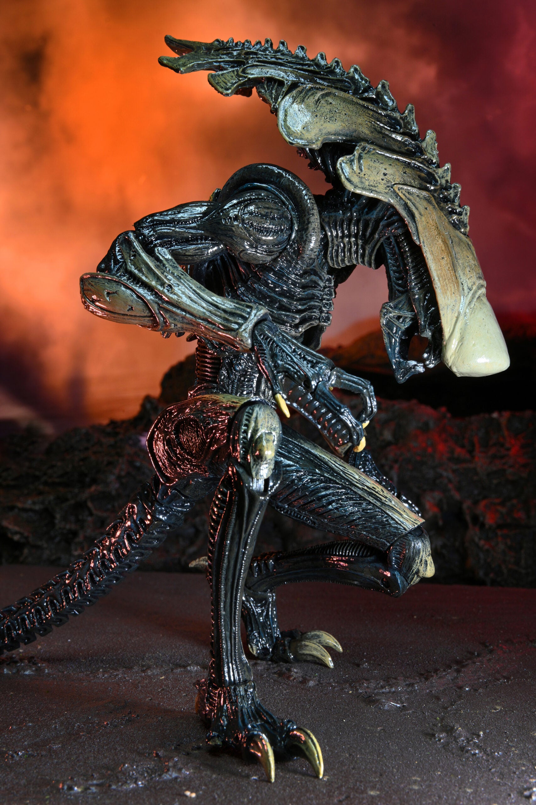 NECA Alien vs. Predator Chrysalis (Movie Deco)、mySite、hgirdovlk