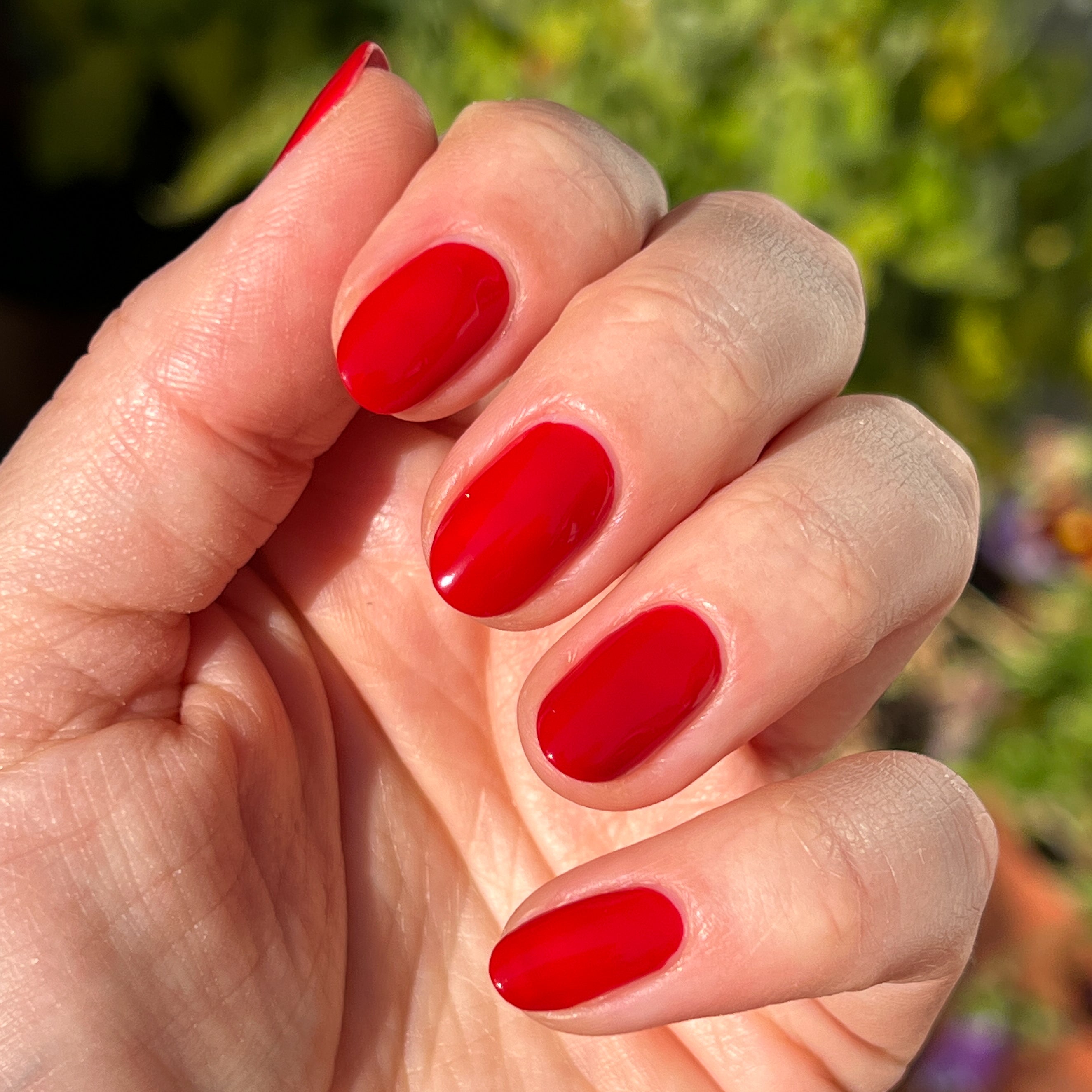 Smooch、mySite、solidvoid