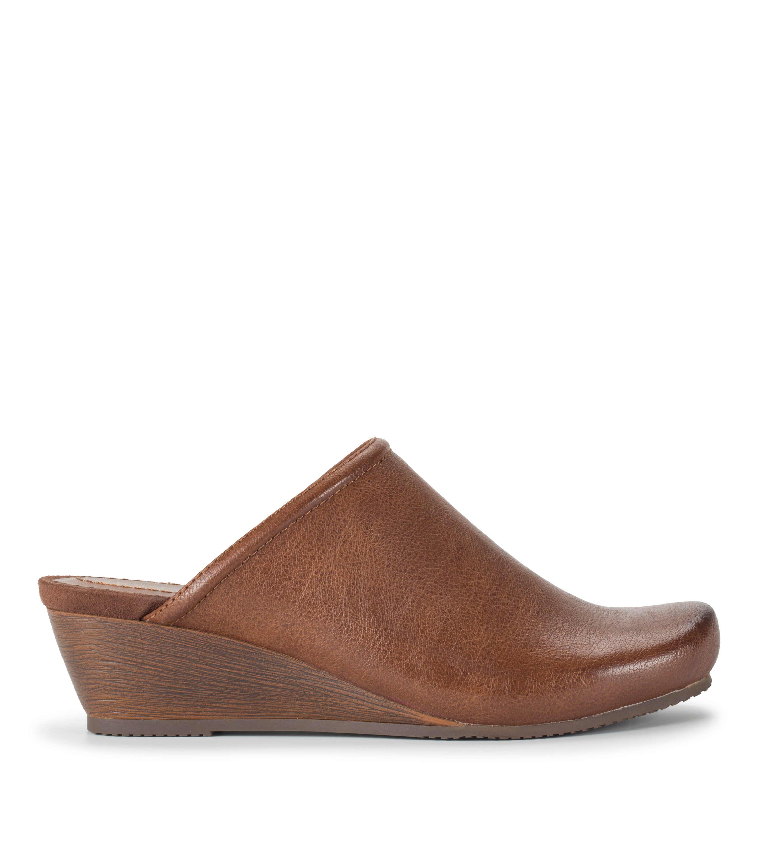  Lilibet Mule、mySite、preschool7hills