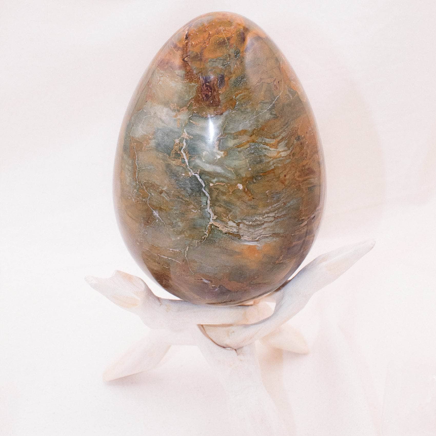 Petrified Wood Egg - AAA Premium Quality、mySite、hinf8tx79