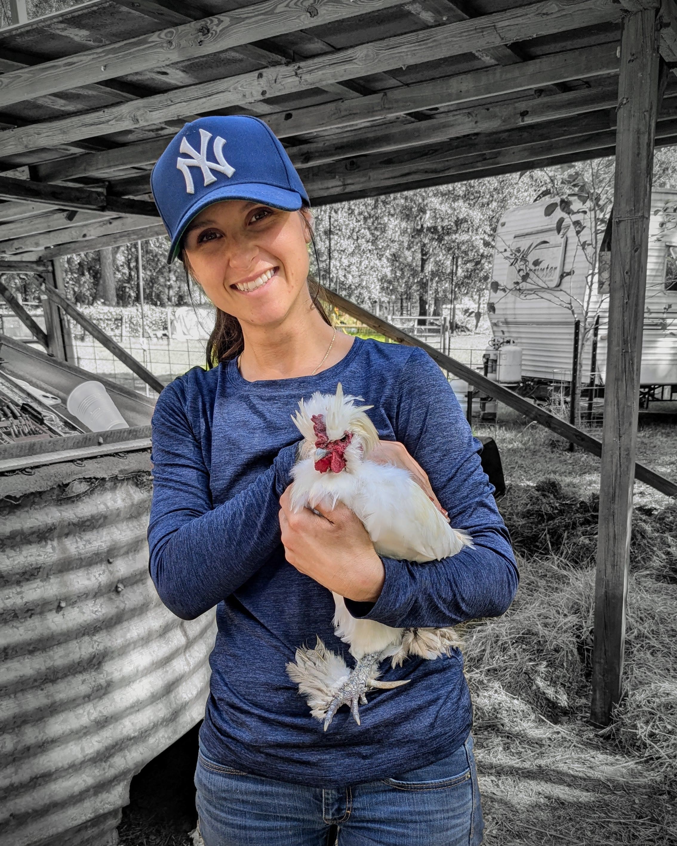 Cow Cuddle EXPERIENCES Gift Certificate-Great Gift Idea!、mySite、g9winljtr