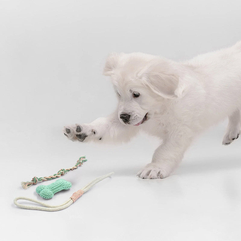 Puppy Discovery Delights Toy For Dogs | Crochet Cotton Yarn | Mint、mySite、camillekostekn