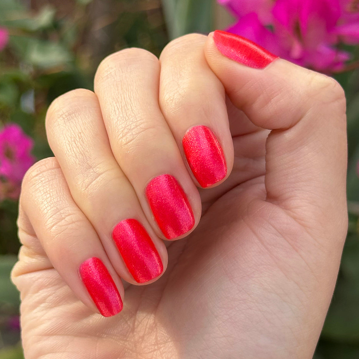 Rodeo Queen、mySite、solidvoid