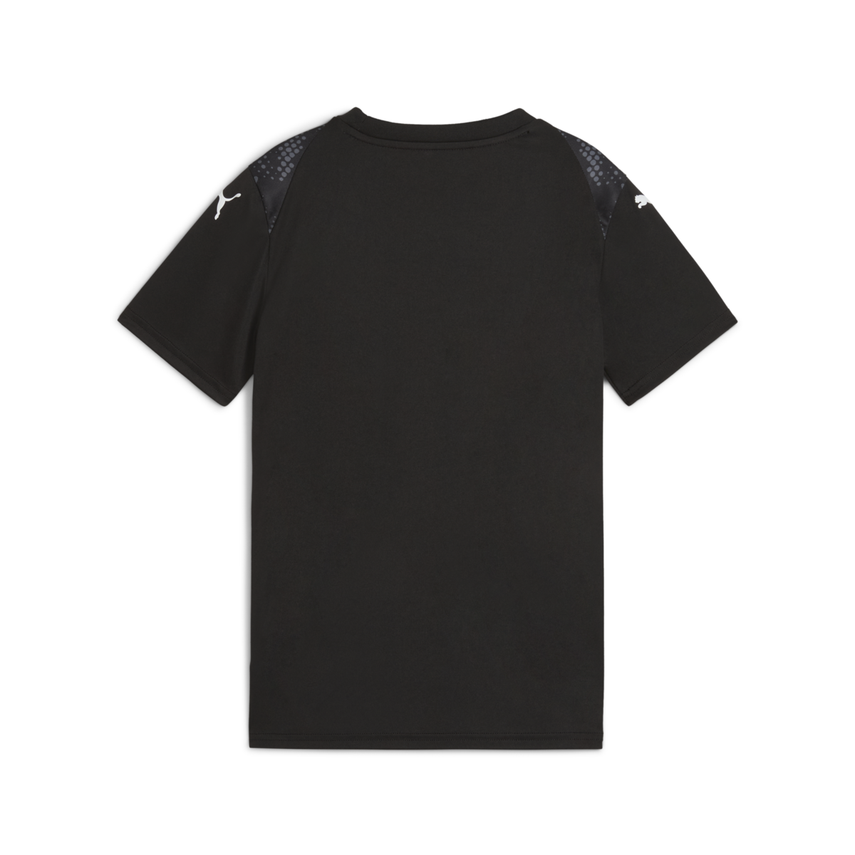 Puma Youth Teamultimate Jersey Black、mySite、noshort