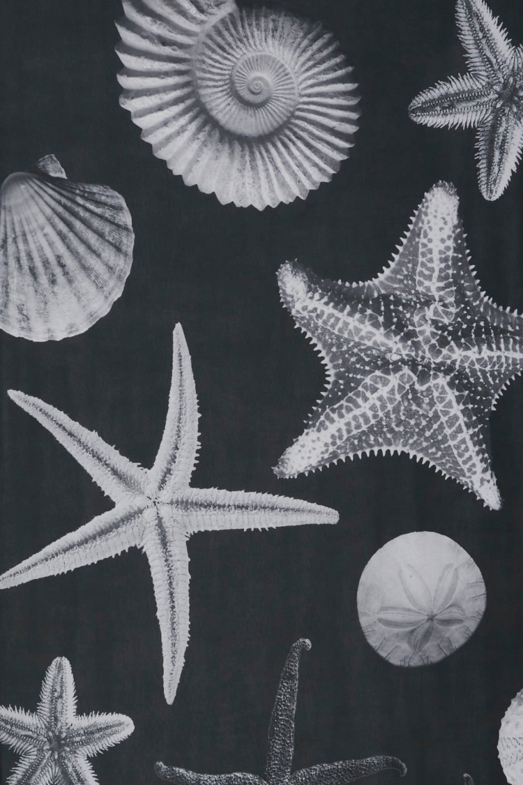 Black Shell Jem Dress、mySite、solidvoid