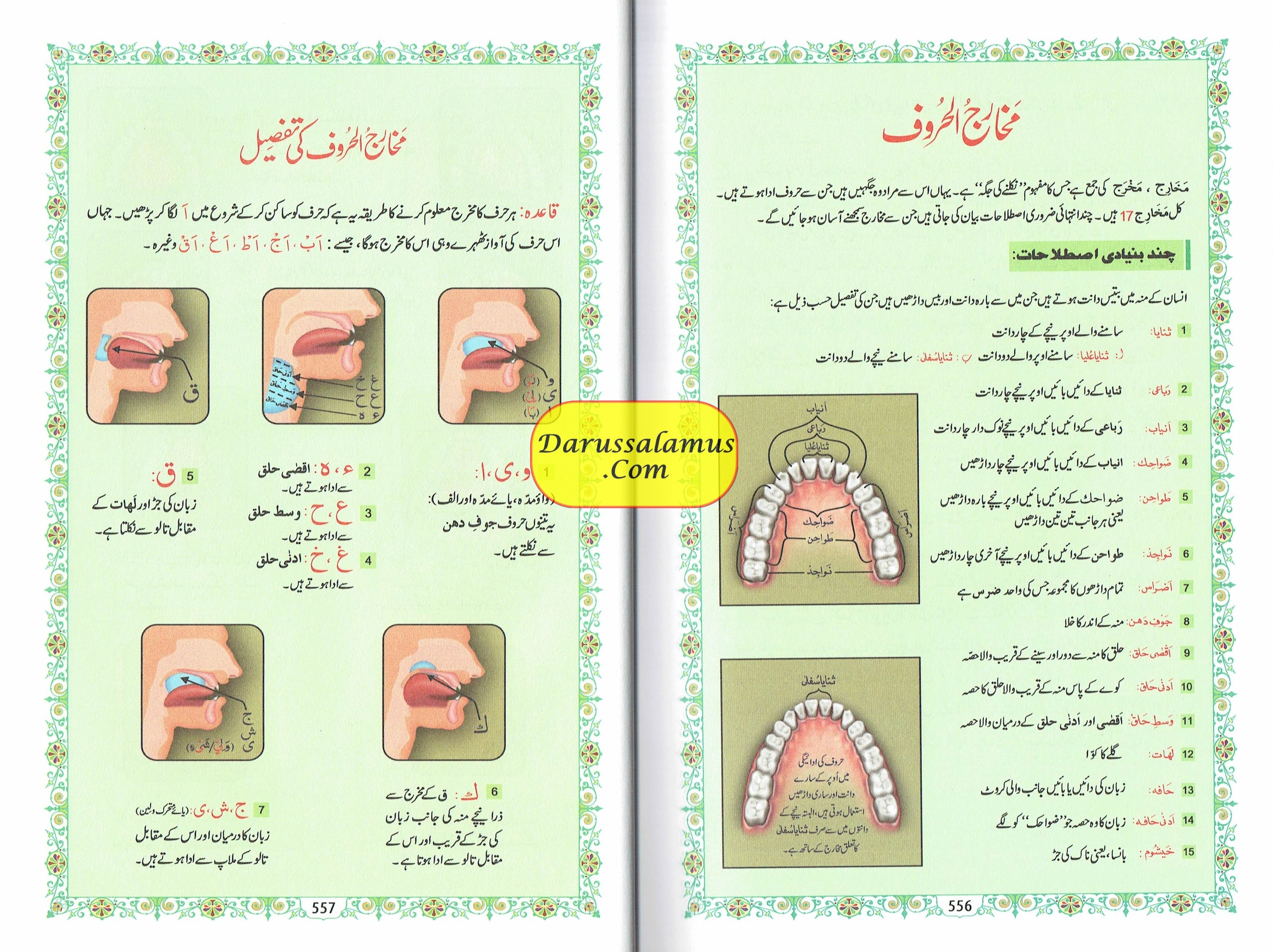 Tajweedi Quran with Urdu Tajweed Rules 16 Lines 8.5 x 6.0 Inch (7B) Hafzi Tajweedi, Medium Size、mySite、topwebapps