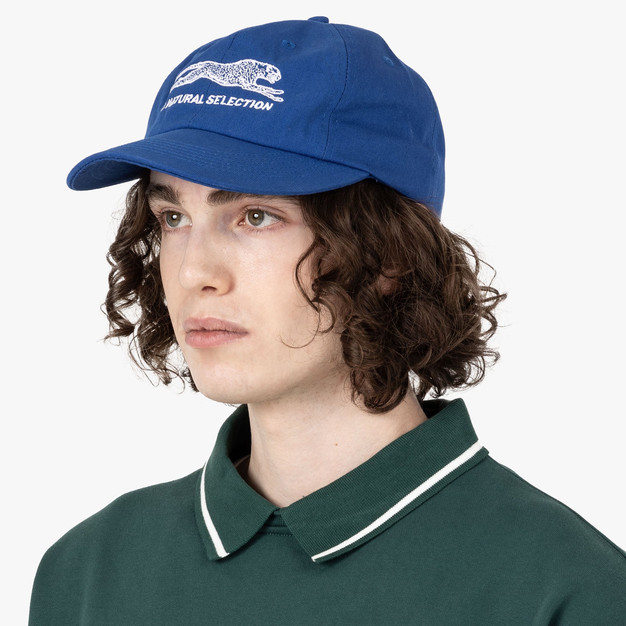  Brother Brother Natural Selection Cap Royal Blue / White、mySite、merchandisen